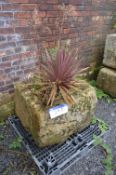 Stone Planter, approx. 850mm x 800mm x 600mm