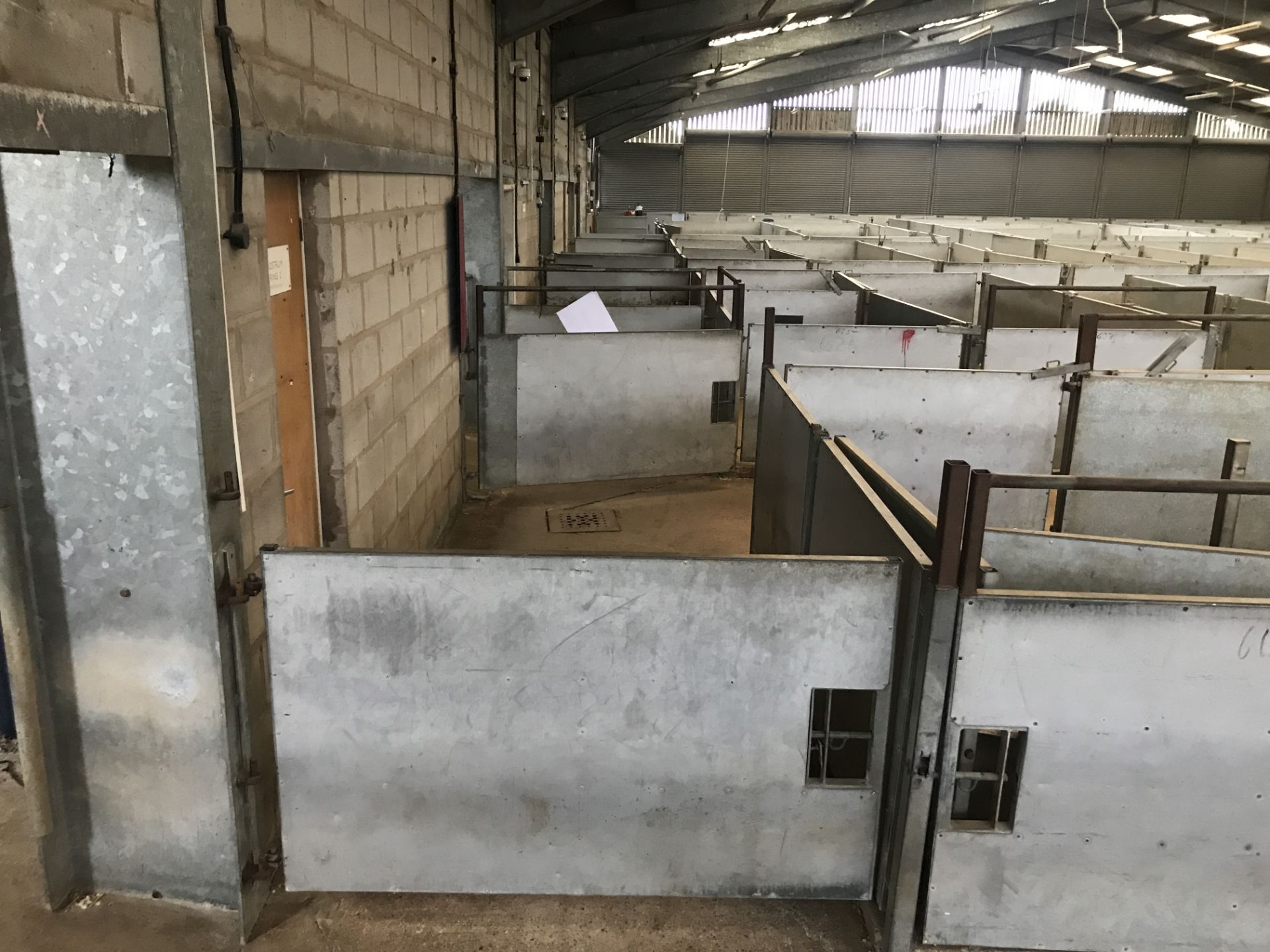 Approx. Eight Galvanised Steel Sheep Pen Gates (in