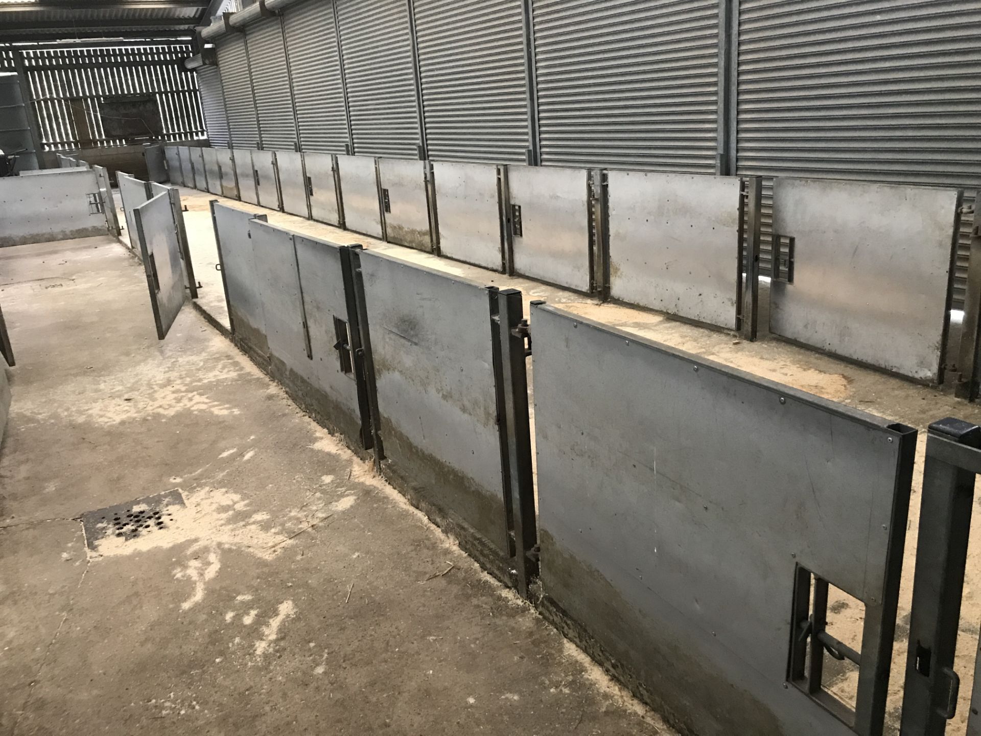 Approx. 20 Galvanised Steel Sheep Pen Gates & 16 P - Image 6 of 6