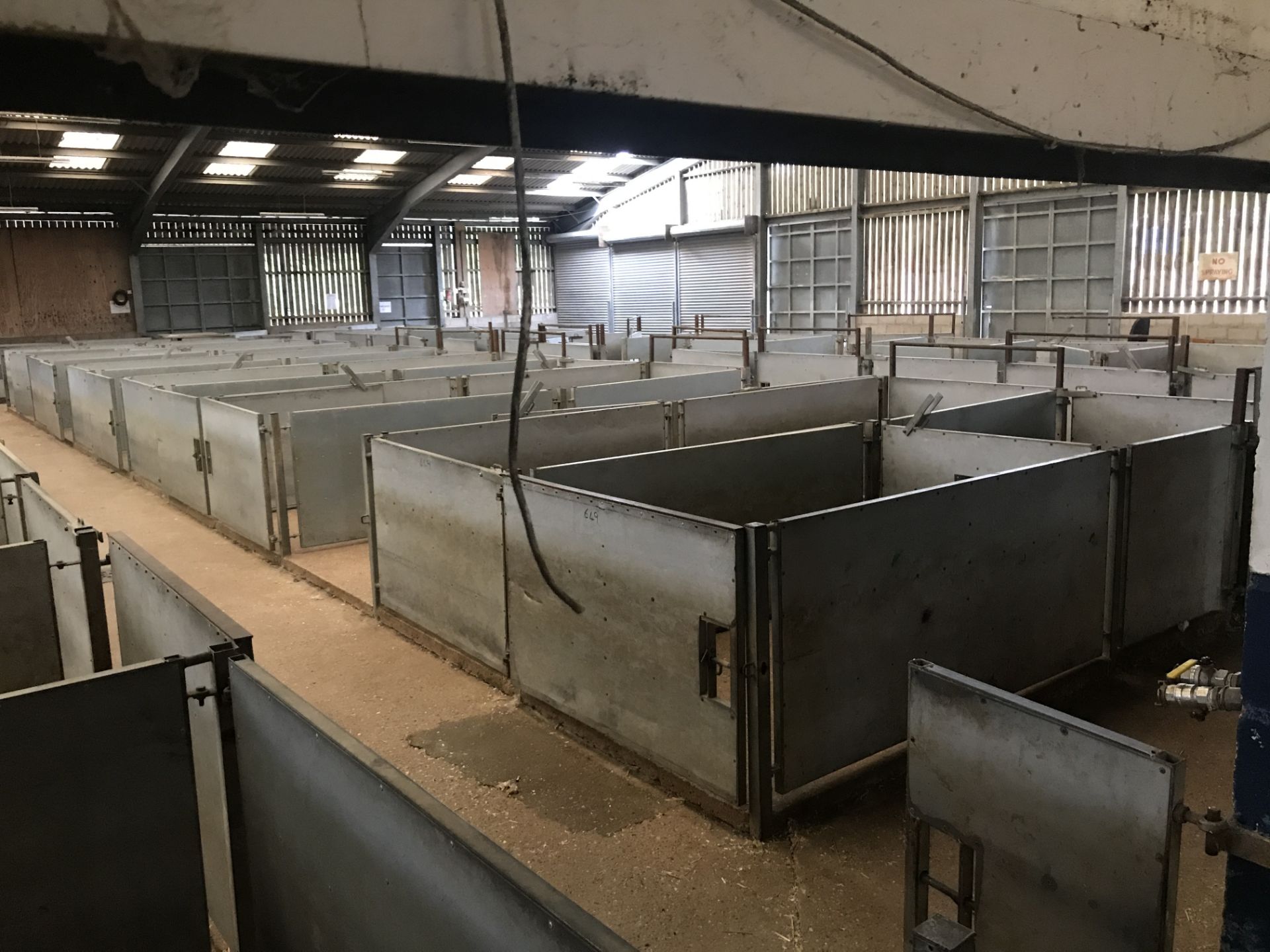 Approx. 38 Galvanised Steel Sheep Pen Gates & 26 P - Image 4 of 5