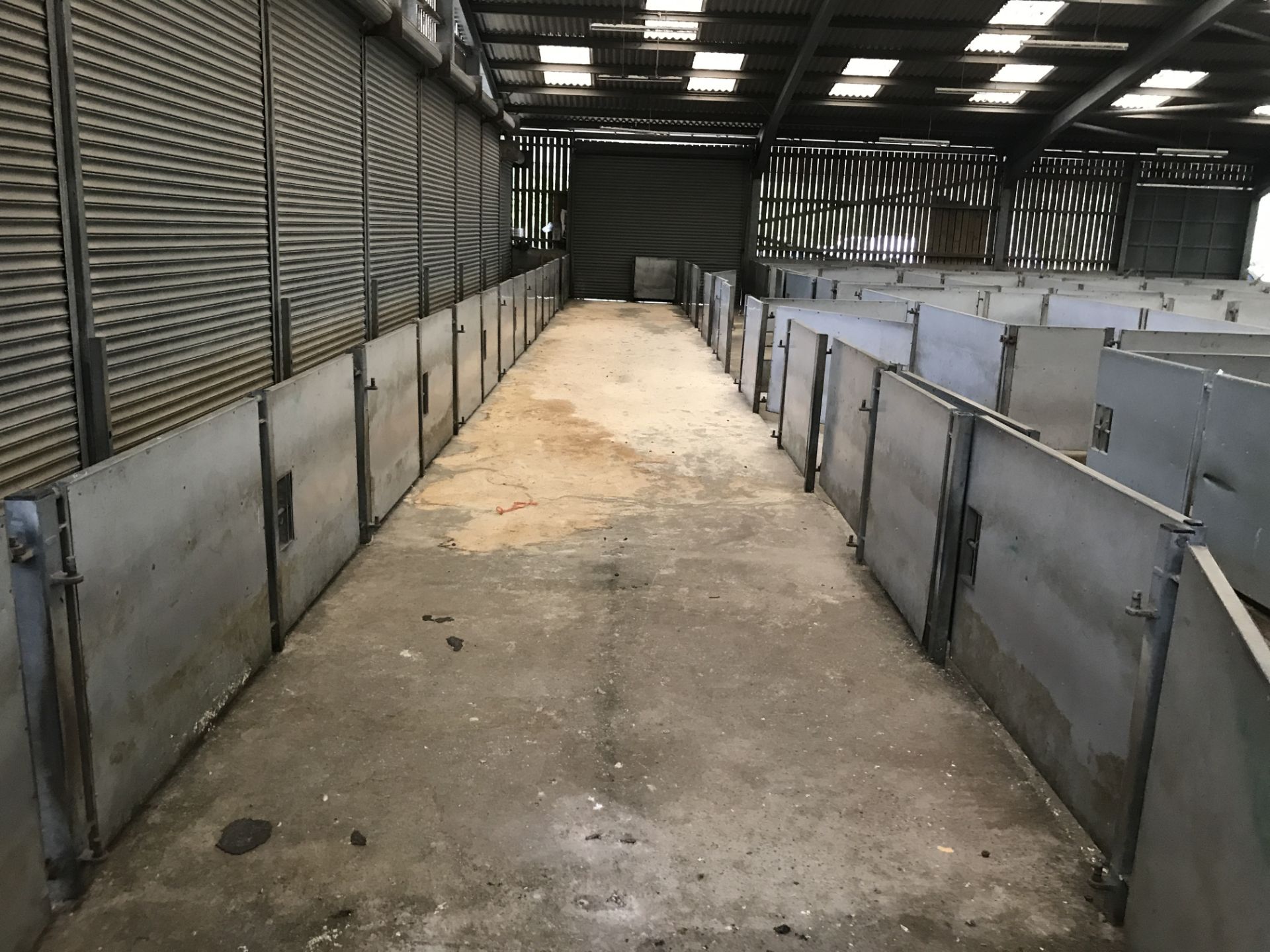 Approx. 20 Galvanised Steel Sheep Pen Gates & 16 P - Image 2 of 6