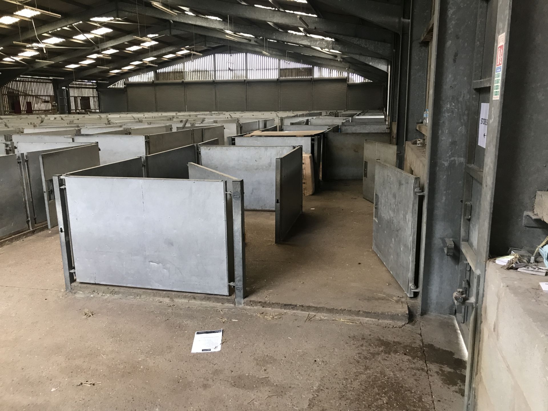 Approx. 32 Galvanised Steel Sheep Pen Gates & 16 P