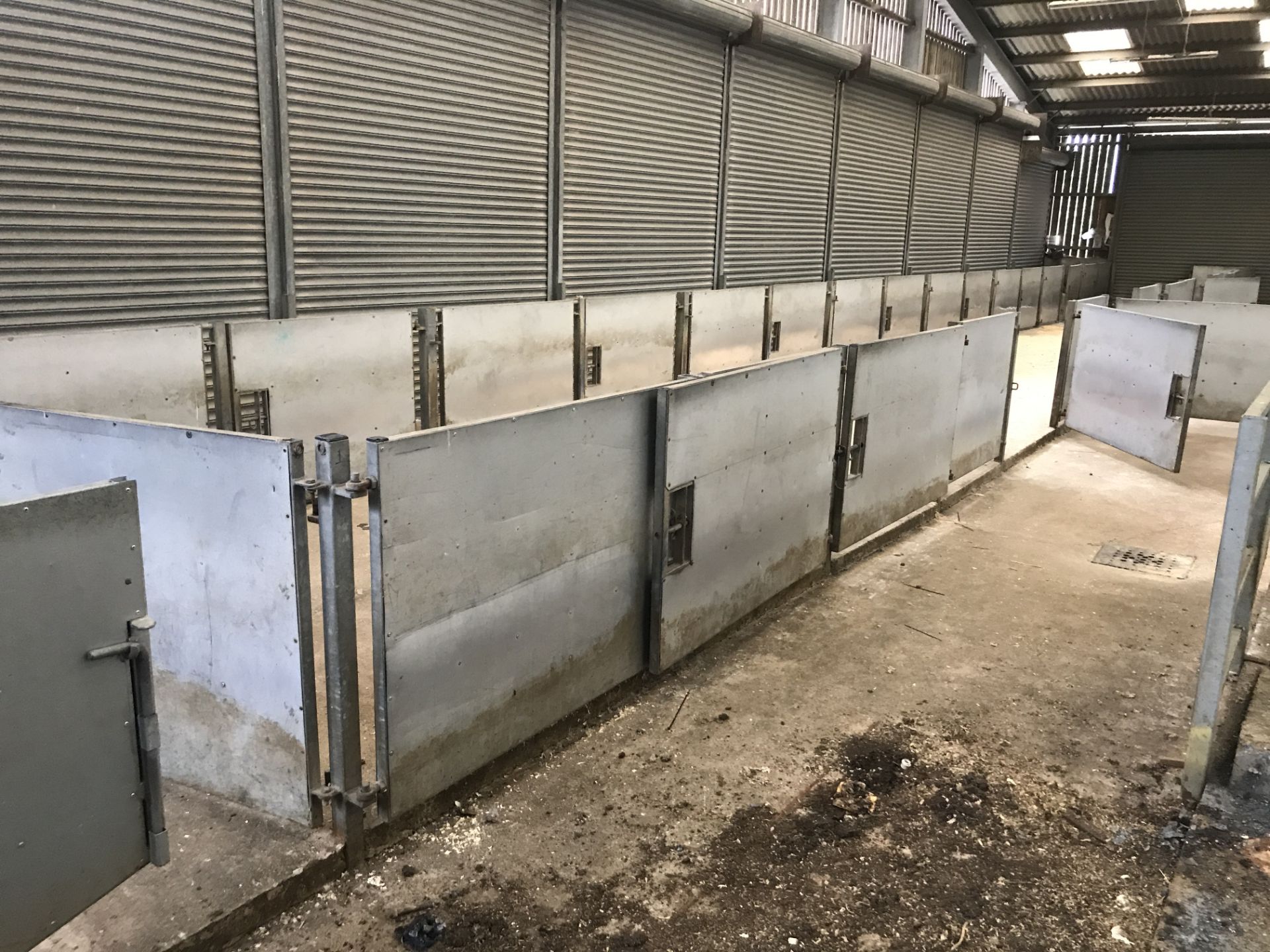 Approx. 20 Galvanised Steel Sheep Pen Gates & 16 P