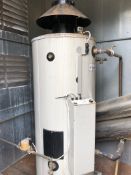 Two Lochnivar Gas Water Heaters, in container, with chimneys, lift out charge - £100