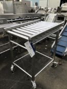 Mobile Stainless Steel Roller Conveyor, dimensions