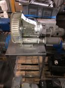 Elmo Rietschle Vacuum Pump, on table/ stand, plant