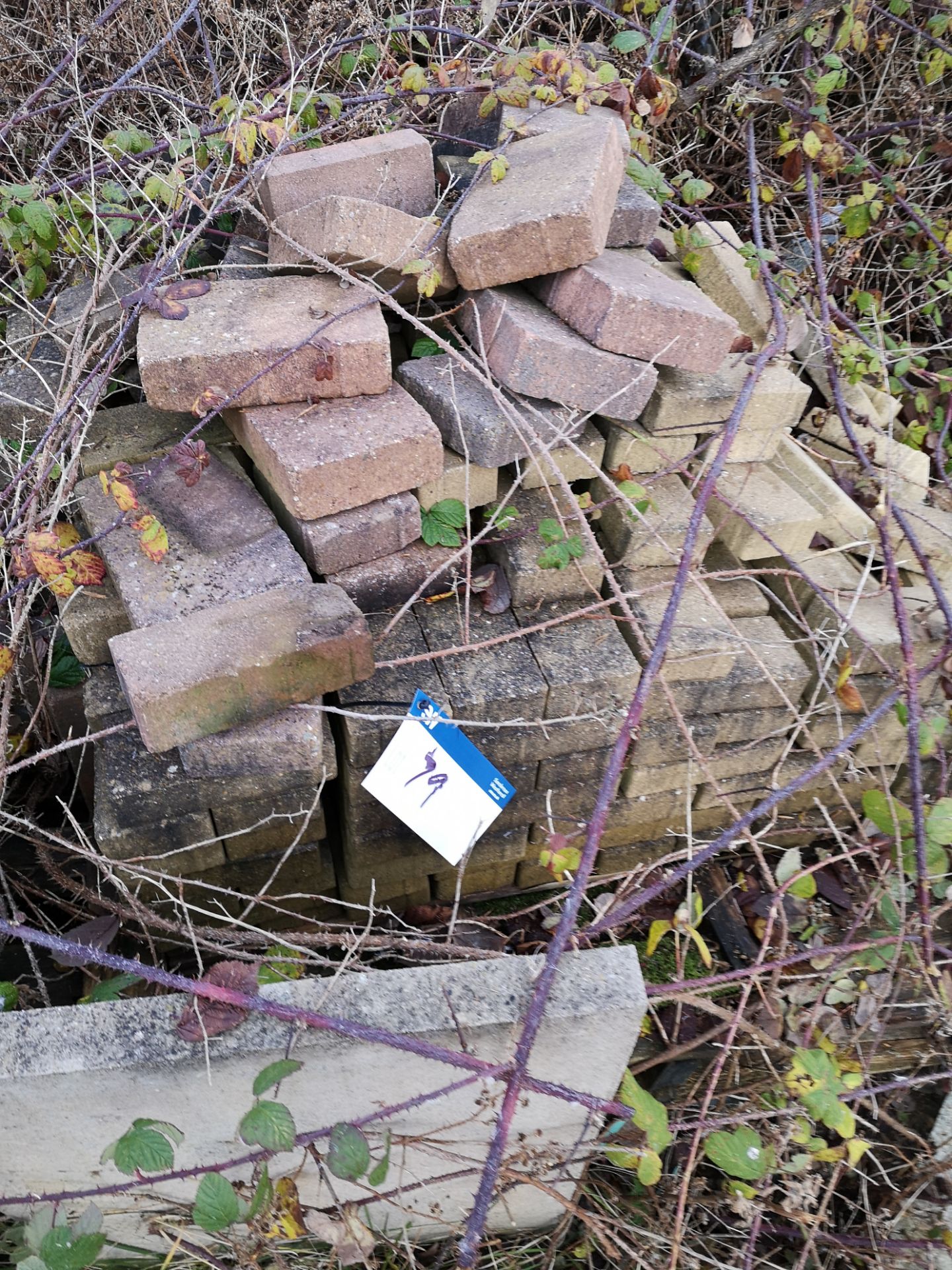 Pallet of Concrete Paviours