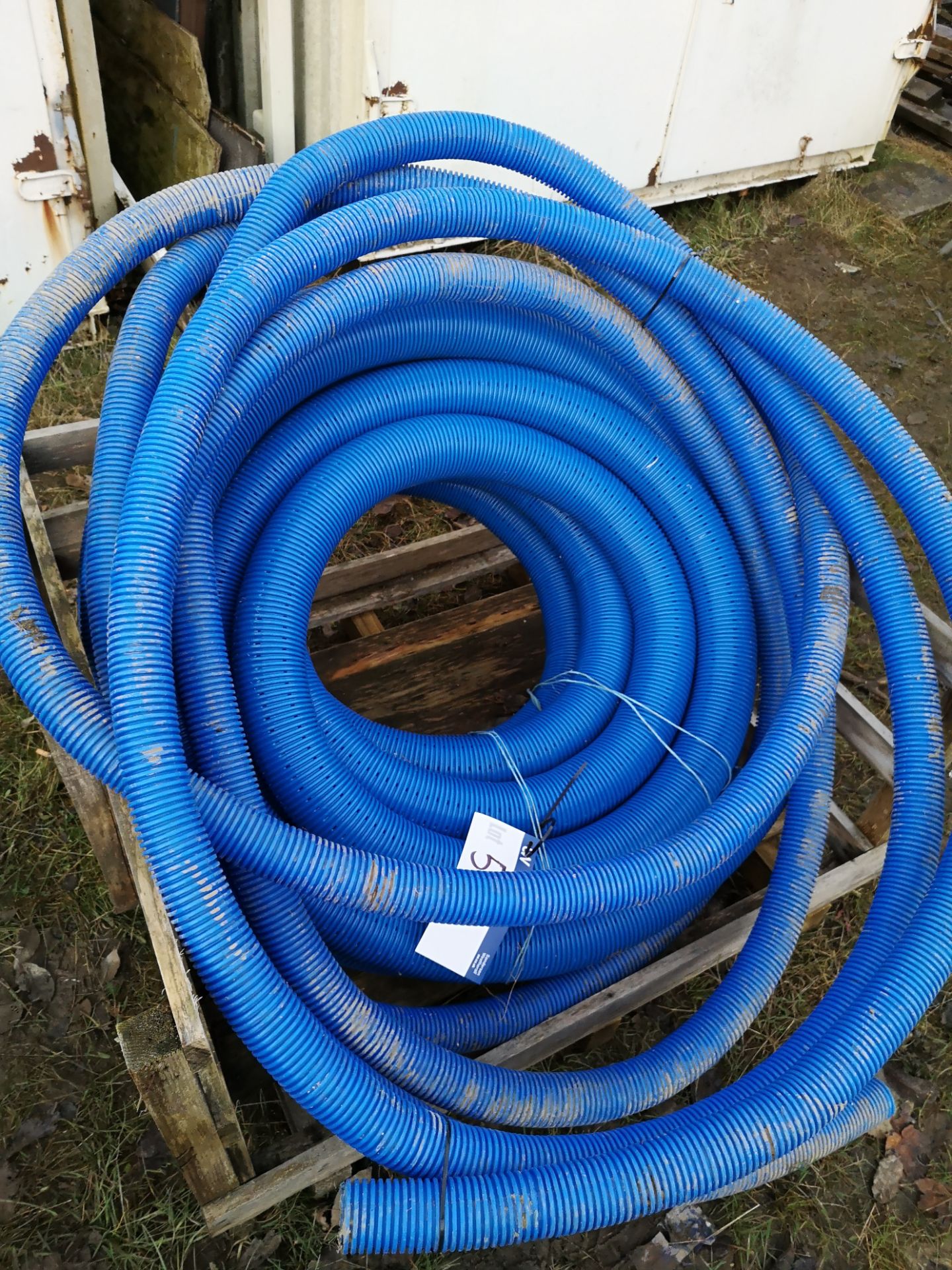 Quantity of Blue Water Pipe