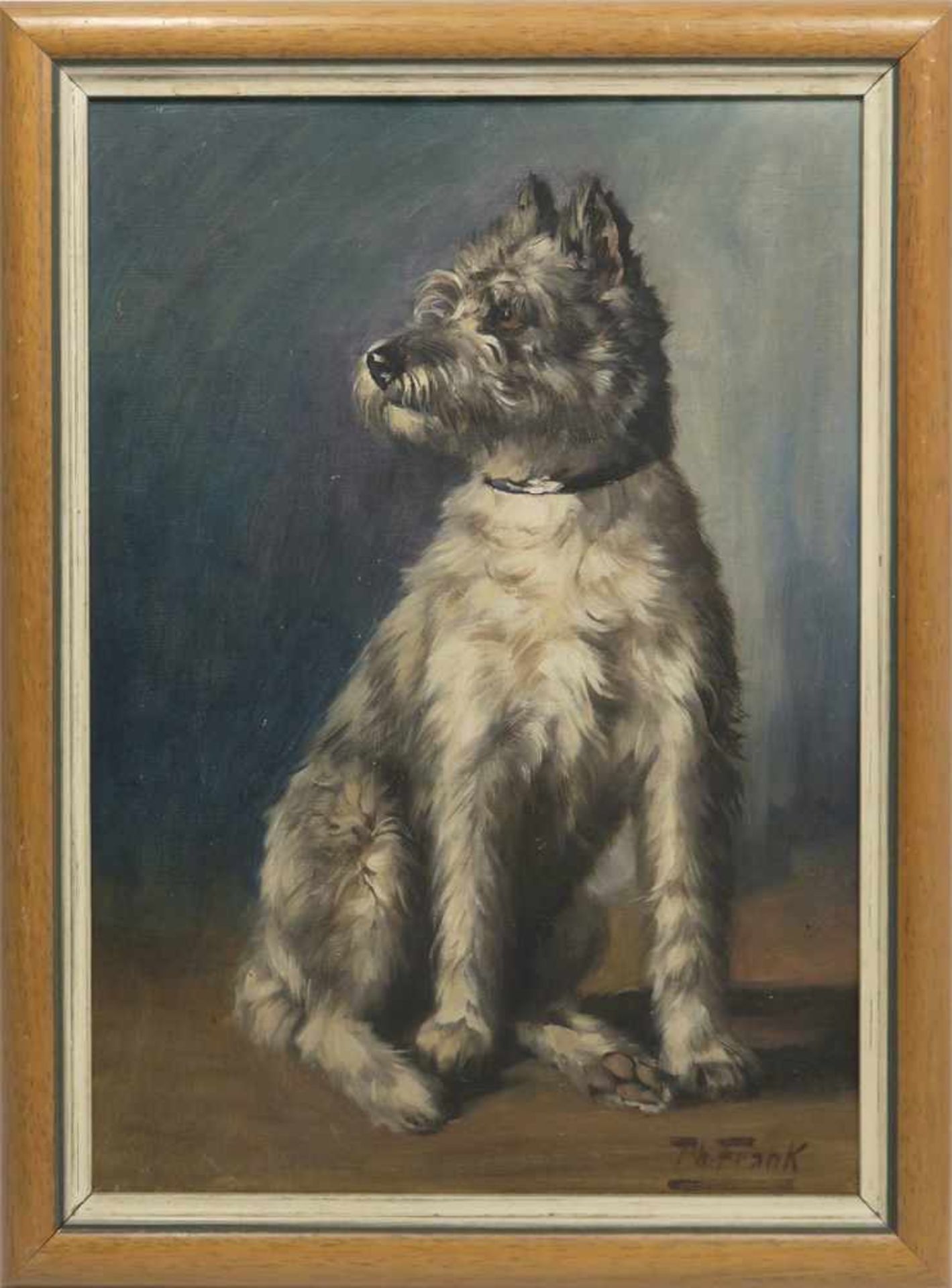 Frank, Th.19./20. Jh.Sitzender SchnauzerÖl/Lwd./Karton. BA: 45 x 31,5 cm. R. u. signiert. Min.