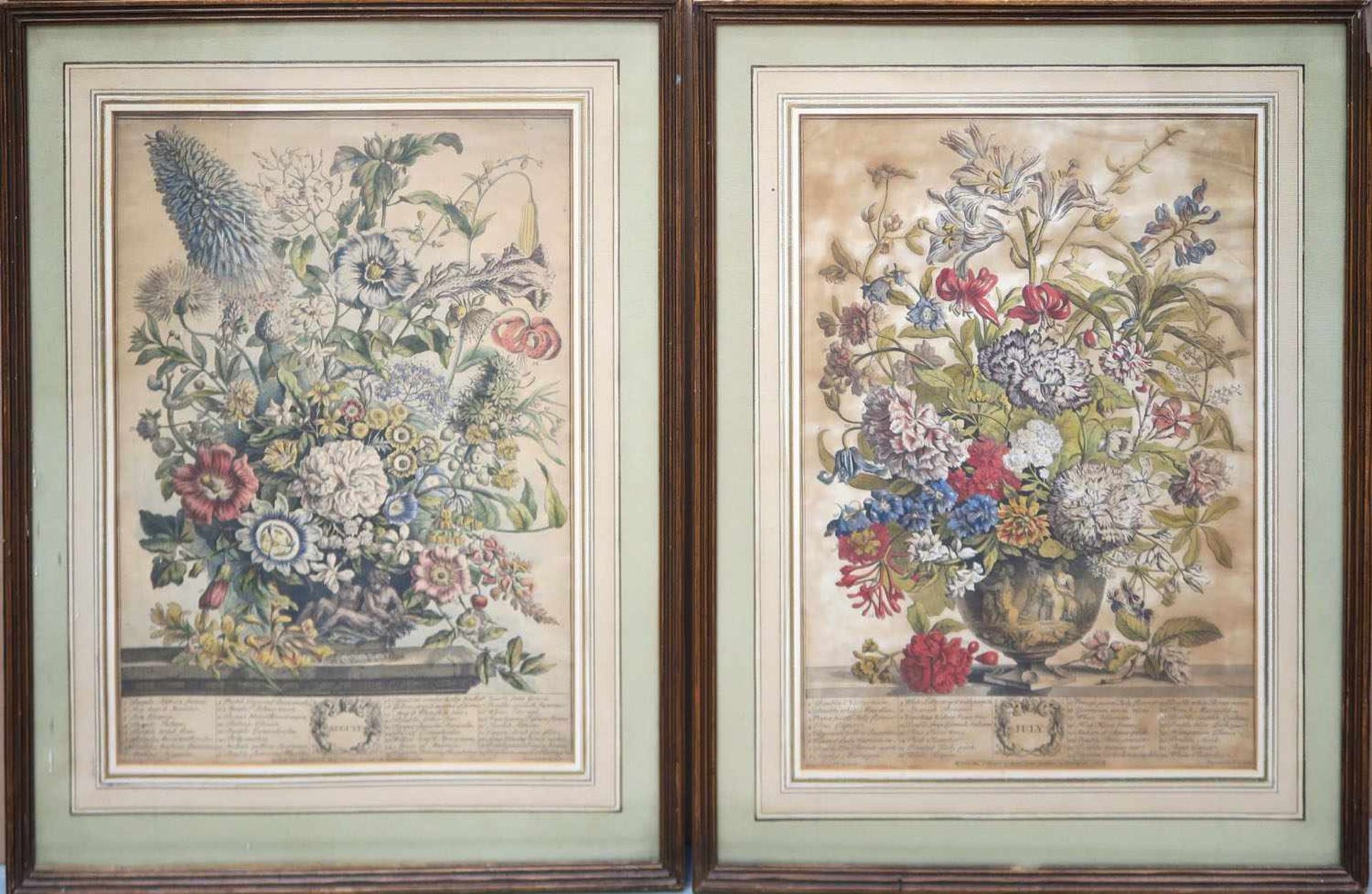 Fletcher, Henry Tätig 1710 - 1750 Juli und August aus "Twelve Months Of Flowers" Zwei kolorierte
