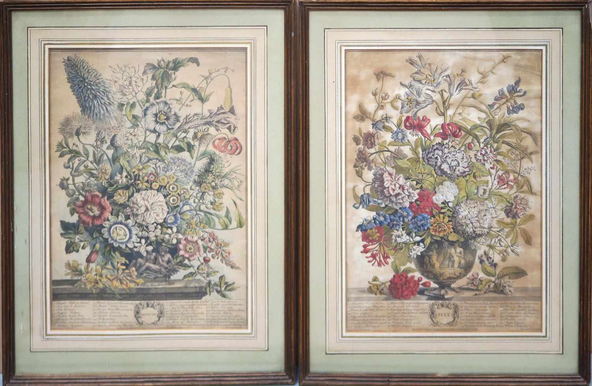 Fletcher, Henry Tätig 1710 - 1750 Juli und August aus "Twelve Months Of Flowers" Zwei kolorierte - Image 2 of 2