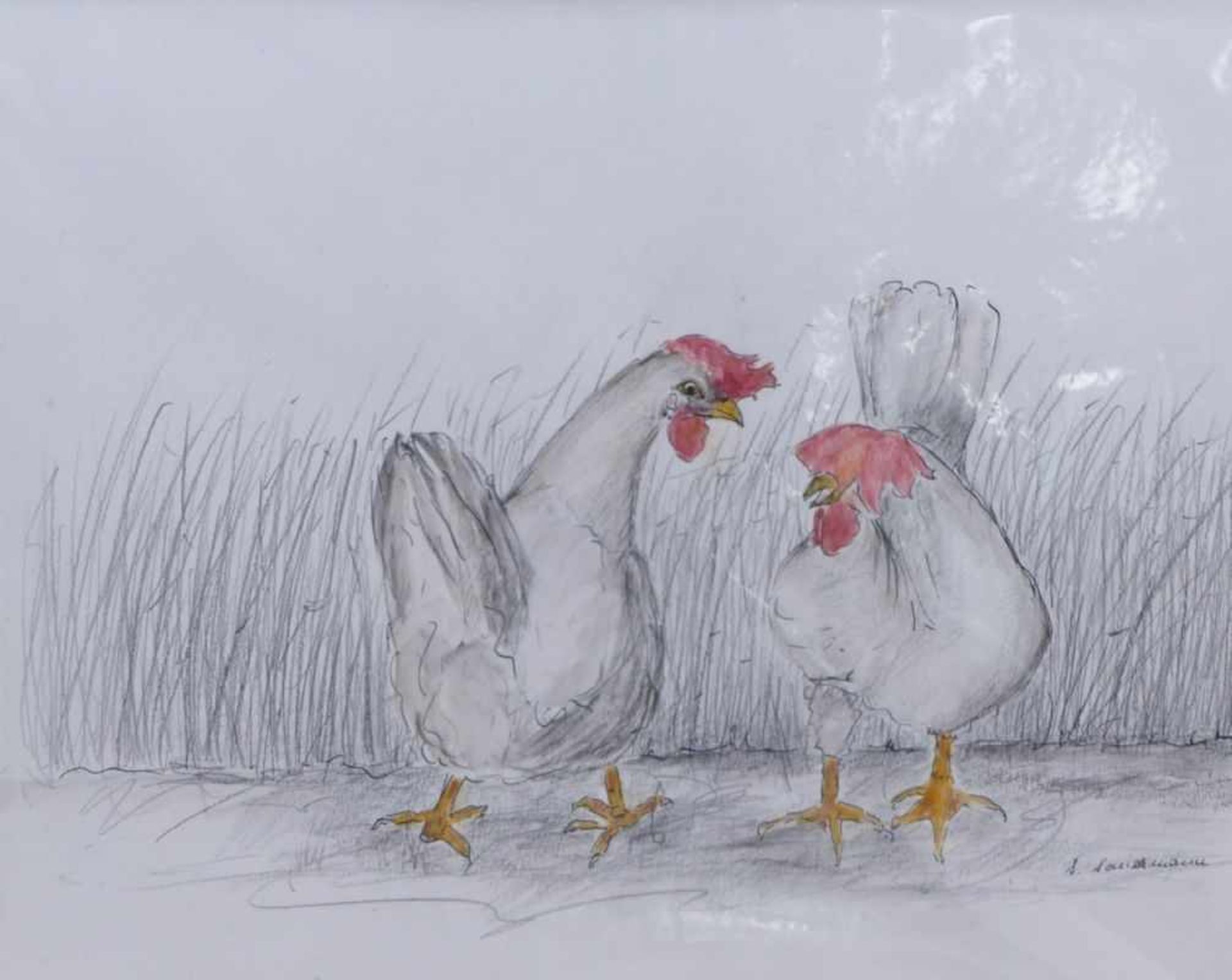 Zwei Hühner am Feldrain20. Jh.Bleistiftzeichnung mit Aquarell gehöht. Rechts unten undeutl. sign. " - Bild 3 aus 3