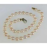 Perlenkette20. Jh.Umlaufend cremeweiße Akoja-Zuchtperlen (Ø 7,5-8 mm) von schönem Lüster,
