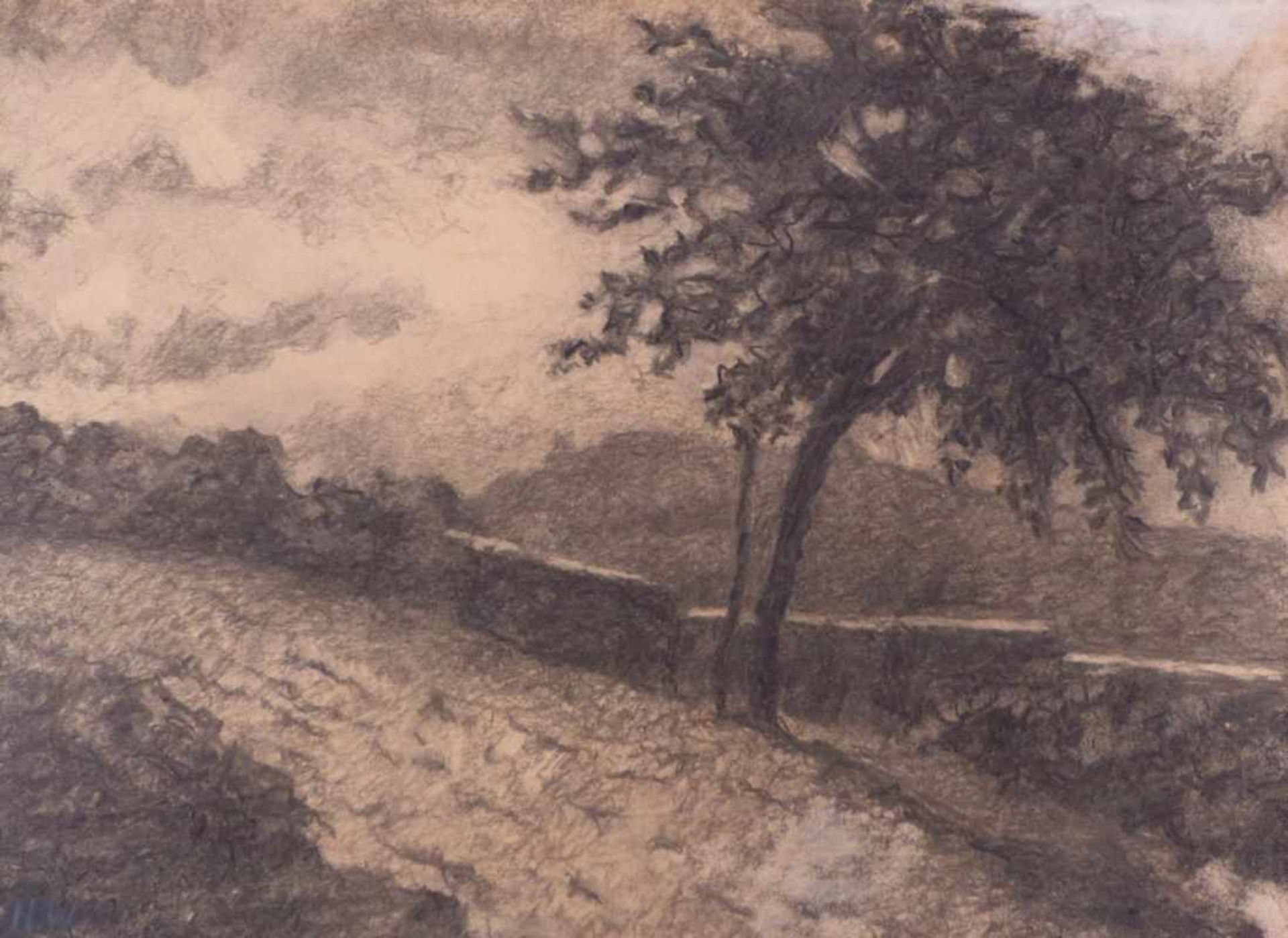 Watson, Homer RansfordLandschaft mit Baum(Kitchener/Kanada 1855-1936 Doon) Kohlezeichnung/Papier.