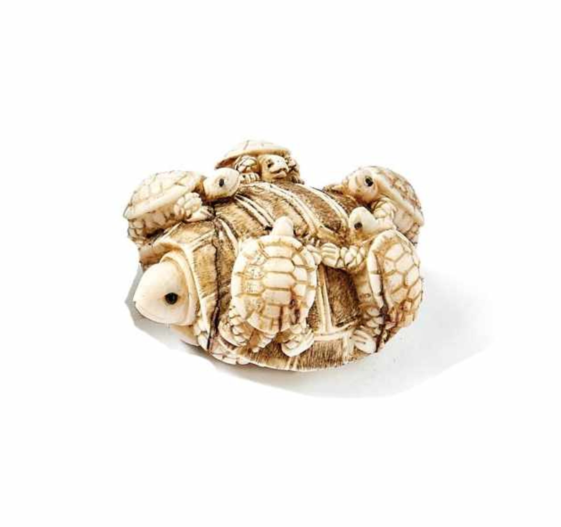 Netsuke with turtlesJapan, 19th c.Large turtle with five small ones on its back; Katabori shape,