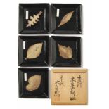 Five small, square plates with leavesJapan, Karatsu, 20th C.Stoneware, brown tenmoku glaze. Marked