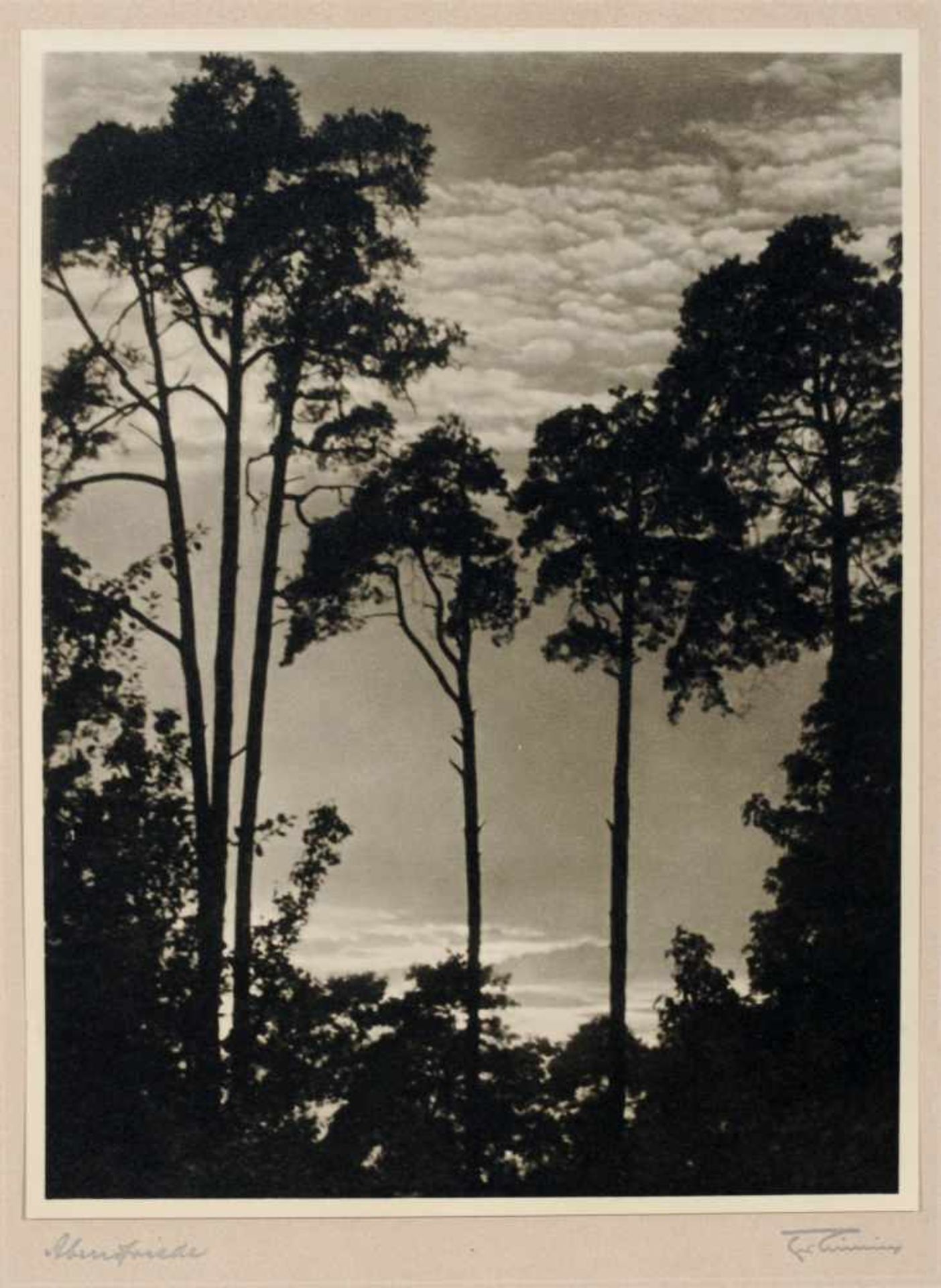 Friedrich Lüning "Stadt am Strom" (Zweite Folge). 1930er Jahre.Friedrich Lüning 1901 Kamen (Kreis - Bild 4 aus 12