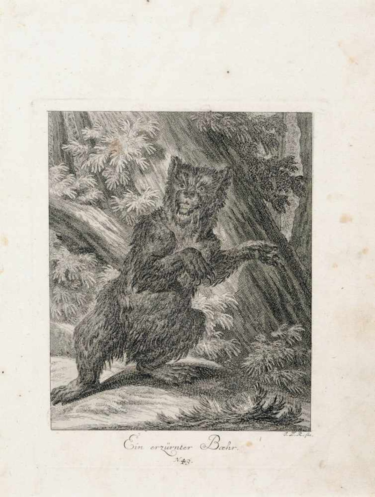 Johann Elias Ridinger, Sieben Tierdarstellungen. 1738-1740.Johann Elias Ridinger 1698 Ulm  1767 - Bild 7 aus 7