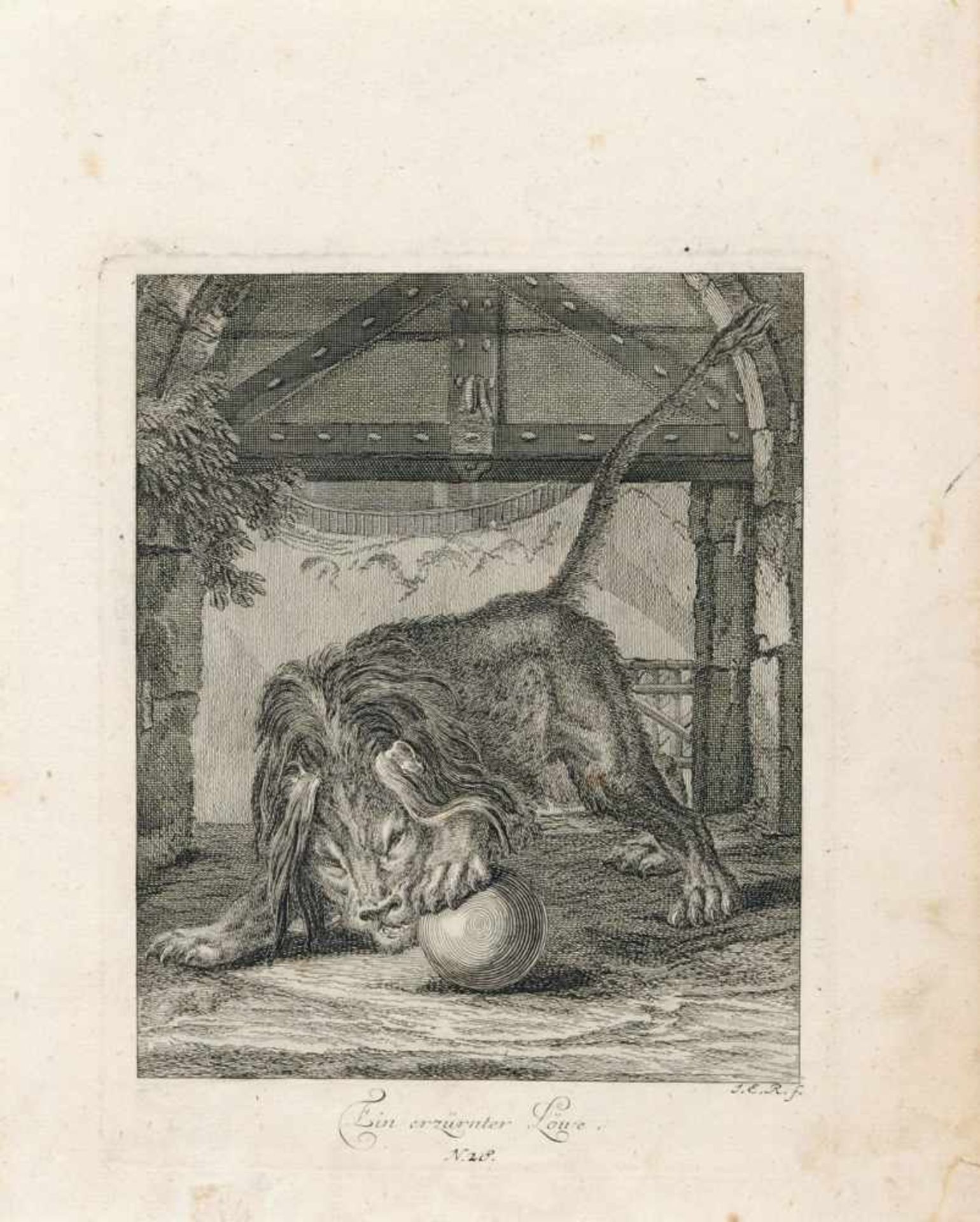 Johann Elias Ridinger, Sieben Tierdarstellungen. 1738-1740.Johann Elias Ridinger 1698 Ulm  1767 - Bild 2 aus 7