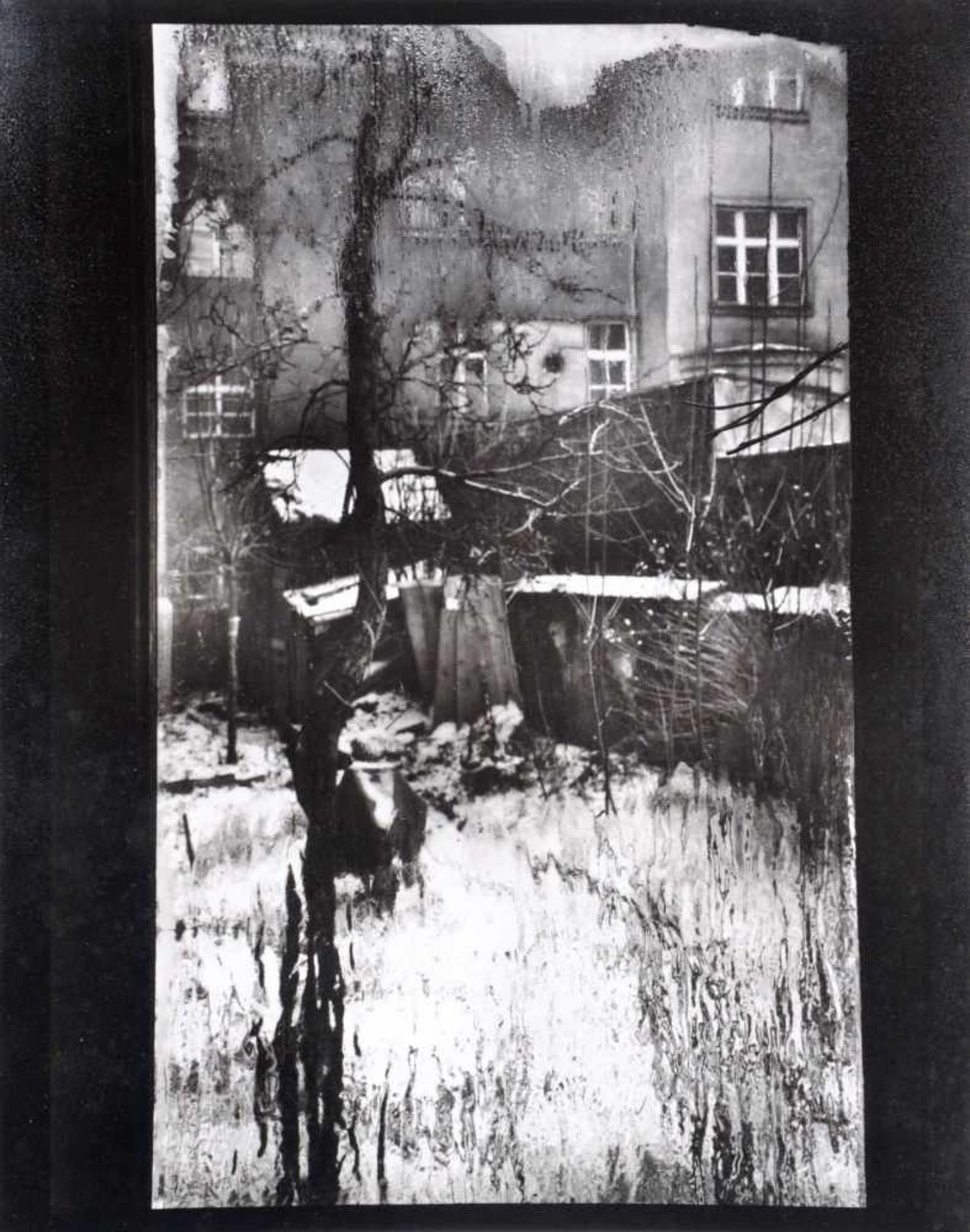 Josef Sudek, Aus dem Zyklus "Die Fenster meines Ateliers". 1954.Josef Sudek 1896 Kolín, Böhmen 