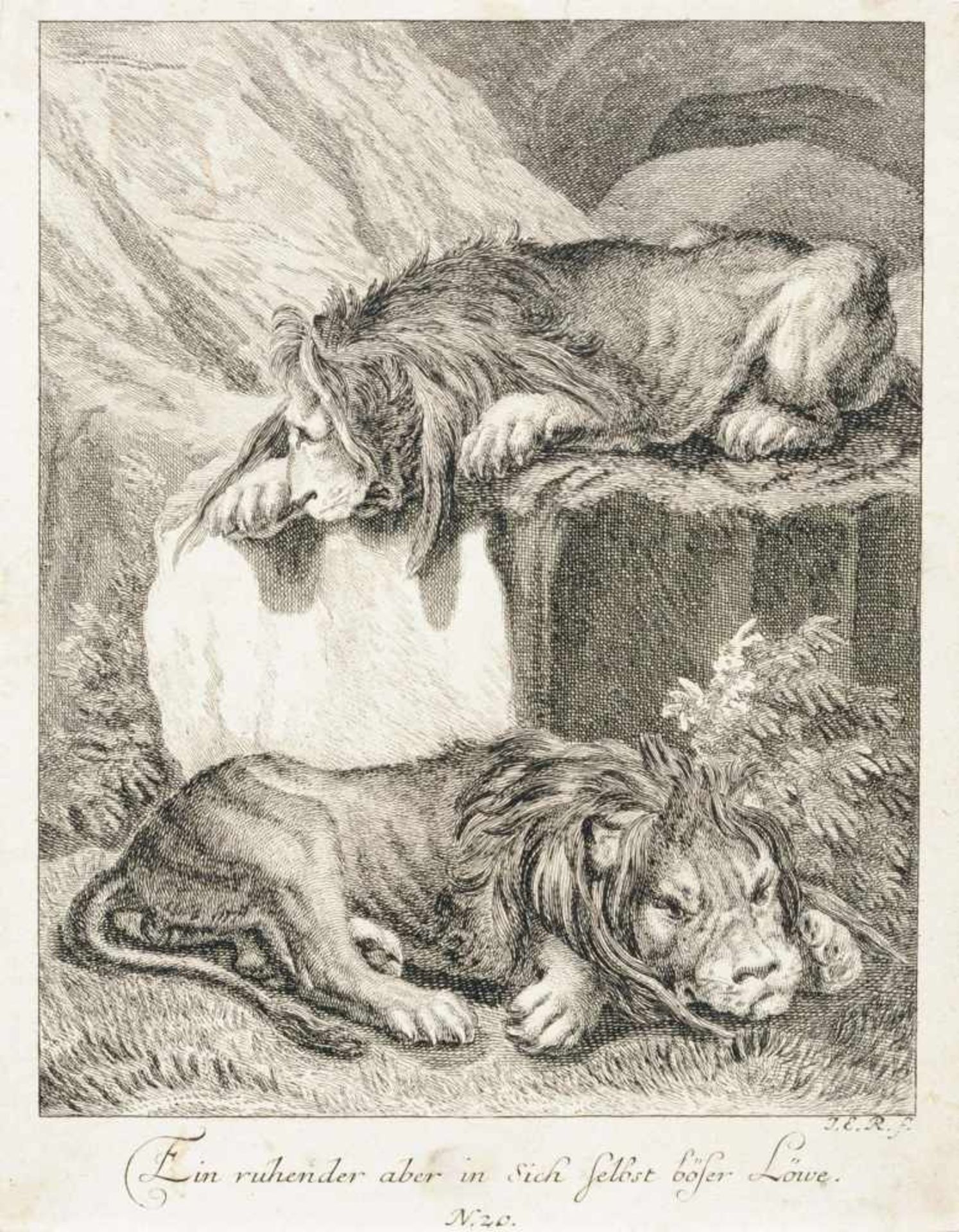 Johann Elias Ridinger, Sieben Tierdarstellungen. 1738-1740.Johann Elias Ridinger 1698 Ulm  1767 - Bild 5 aus 7