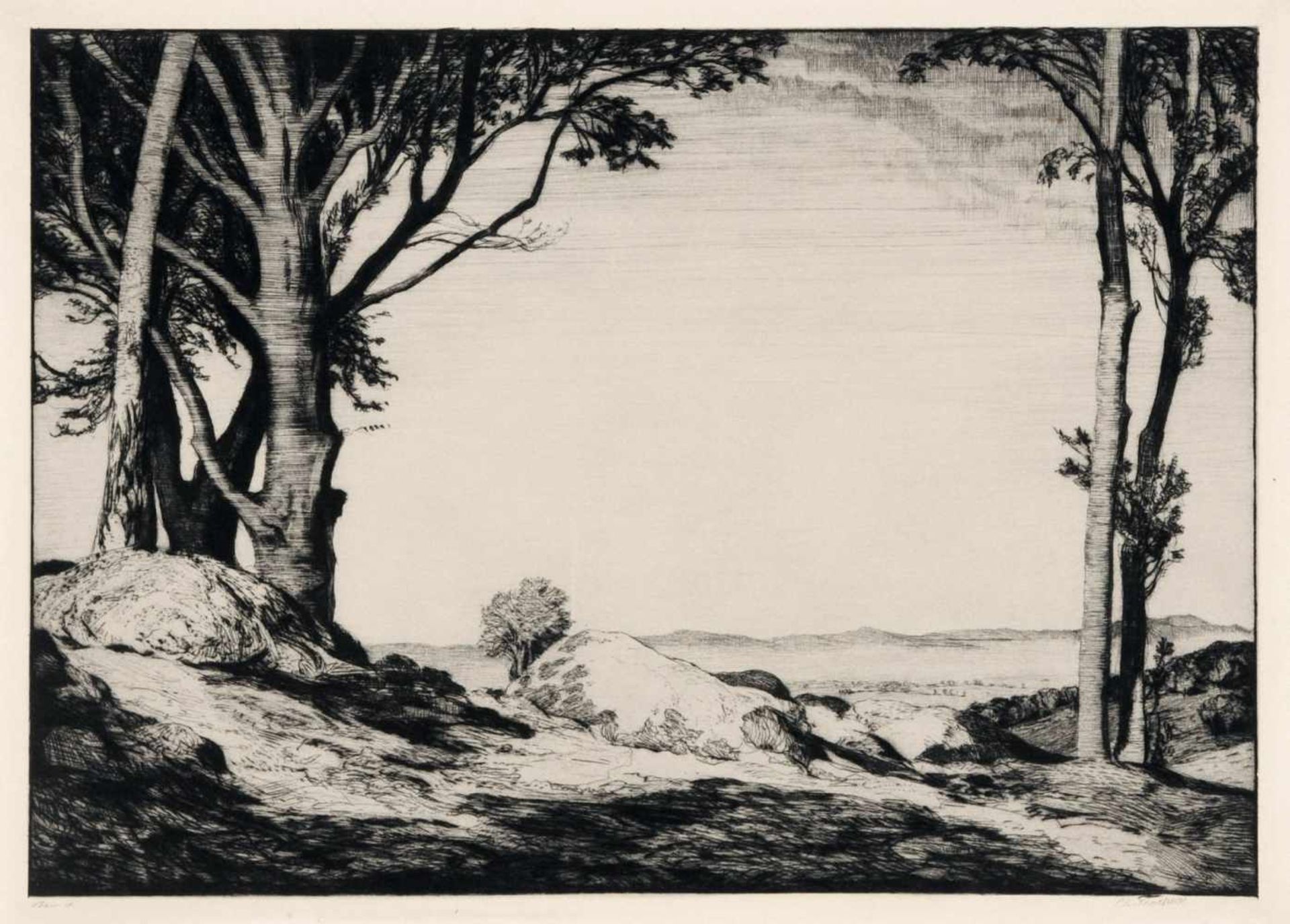 Otto Fischer, Kiefern am Strand / Bäume im Regen / Brandung / Roe-Blick durch eine Schlucht aufs - Bild 6 aus 6