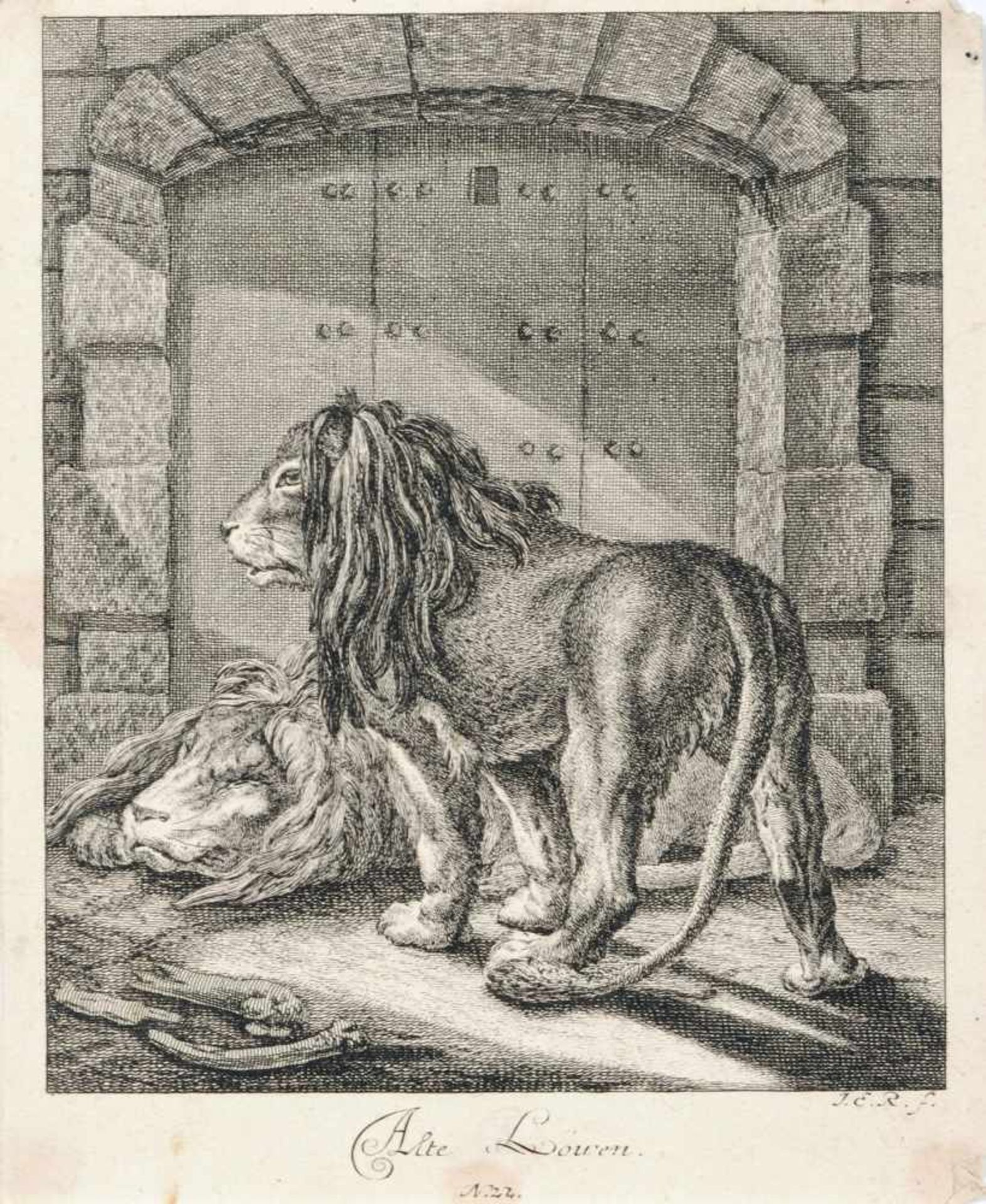 Johann Elias Ridinger, Sieben Tierdarstellungen. 1738- 1740. - Image 6 of 7