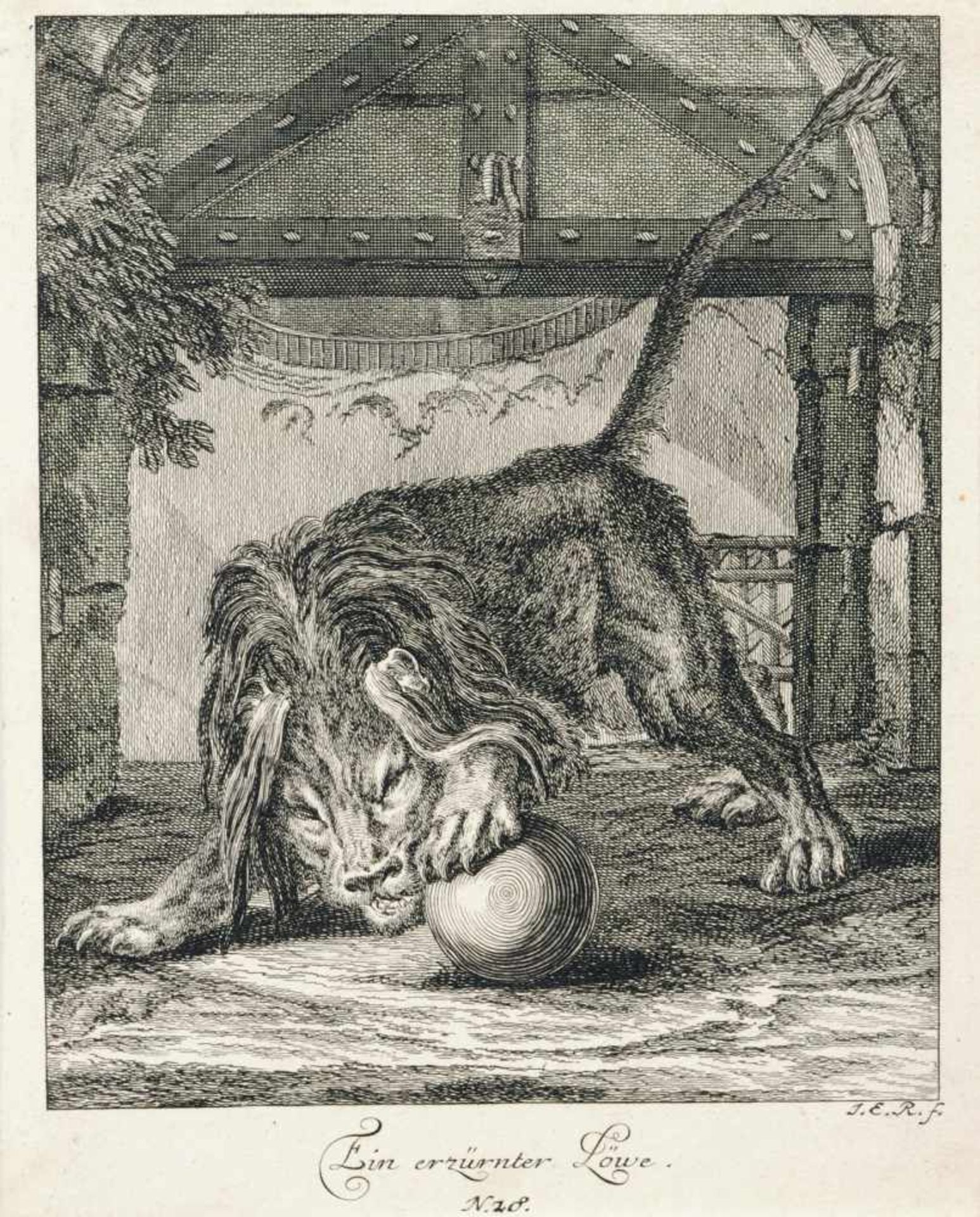 Johann Elias Ridinger, Sieben Tierdarstellungen. 1738- 1740. - Image 4 of 7