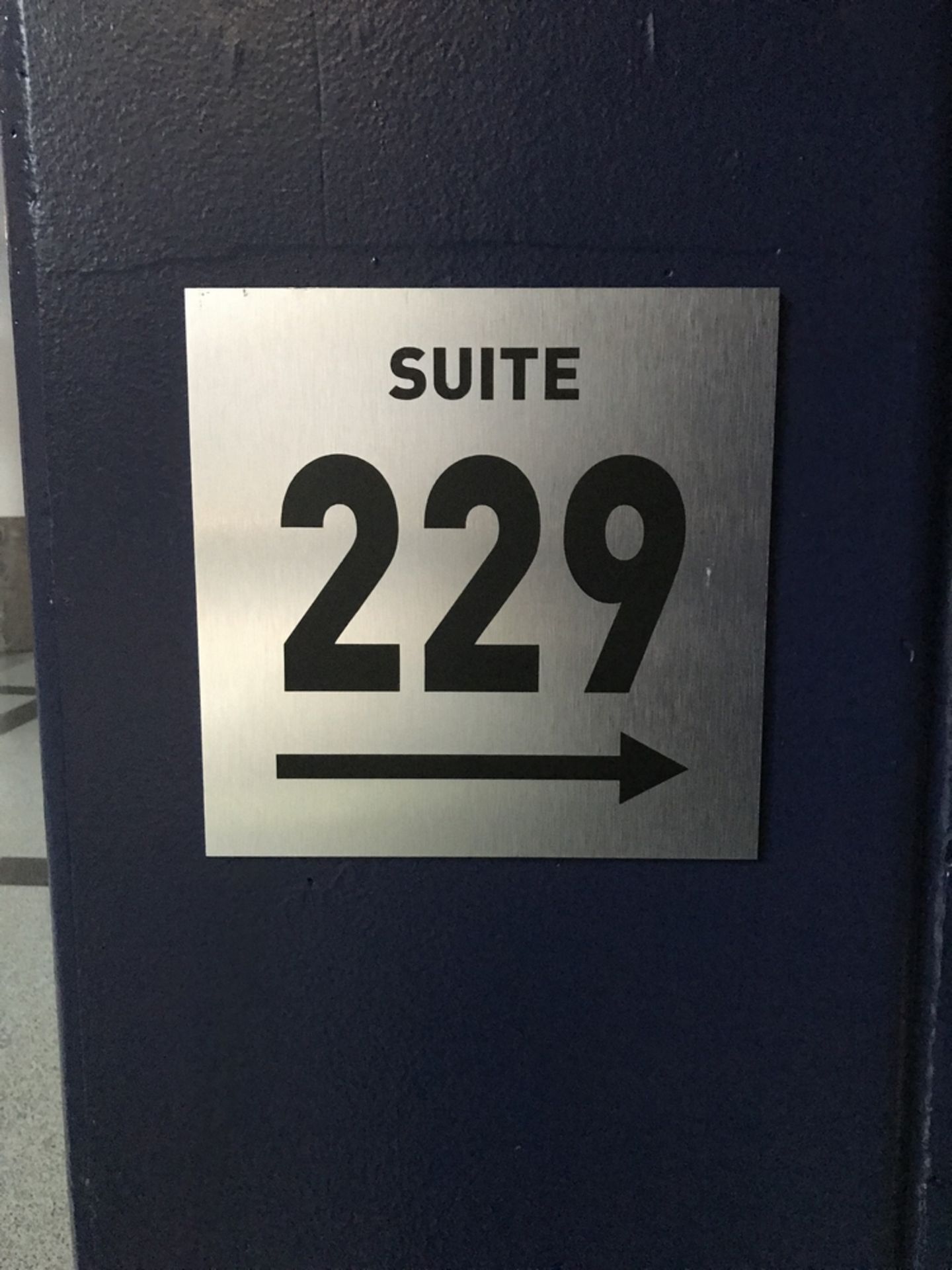 Suite Sign #229 , Dim. 12 in x 12 in , Location: Concourse ***Note from Auctioneer***This lot will