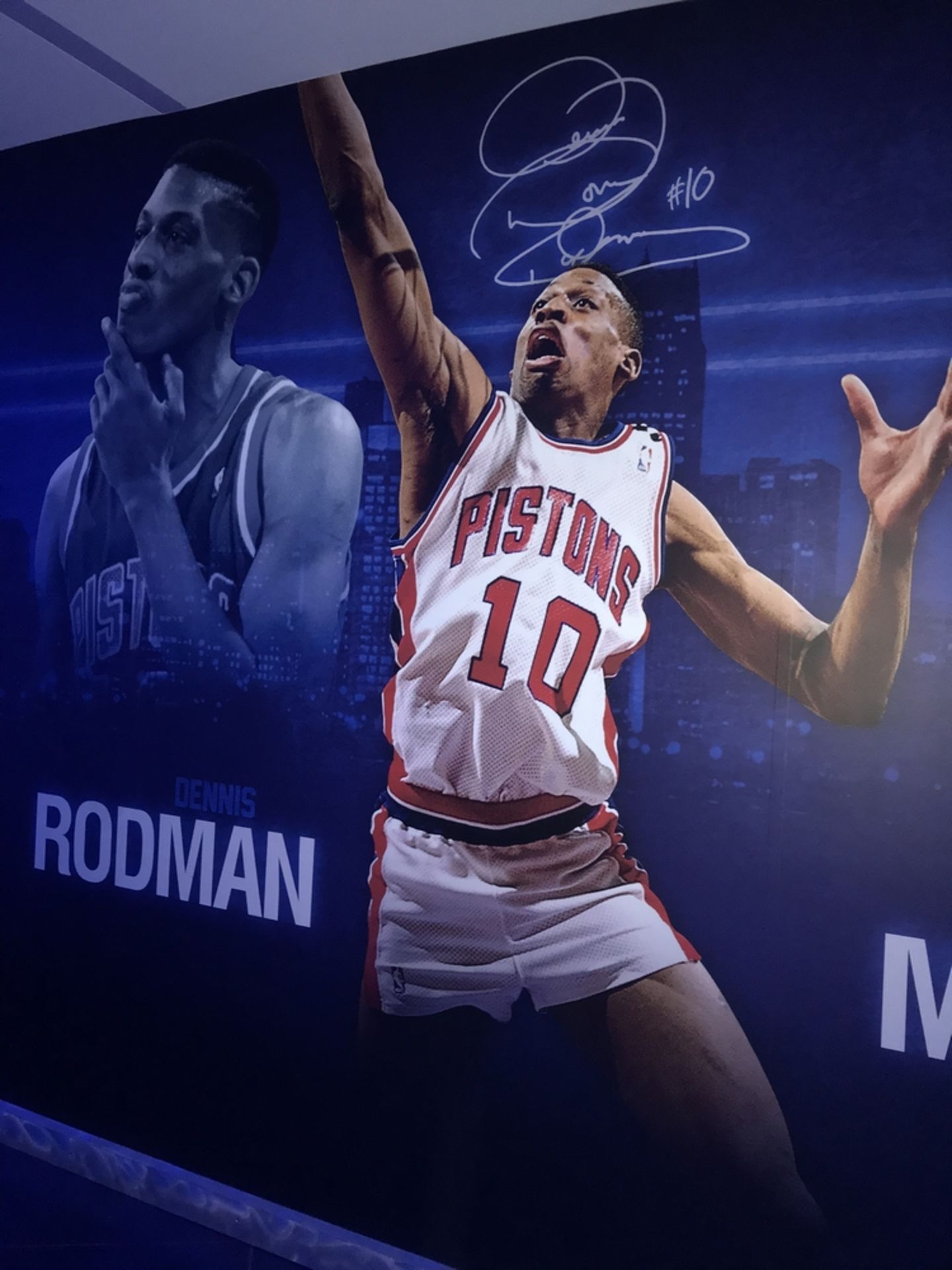 Dennis Rodman - Vinyl Wall Mural , Dim. 100 in w x 116 in h , Location: Locker Room ***Note from