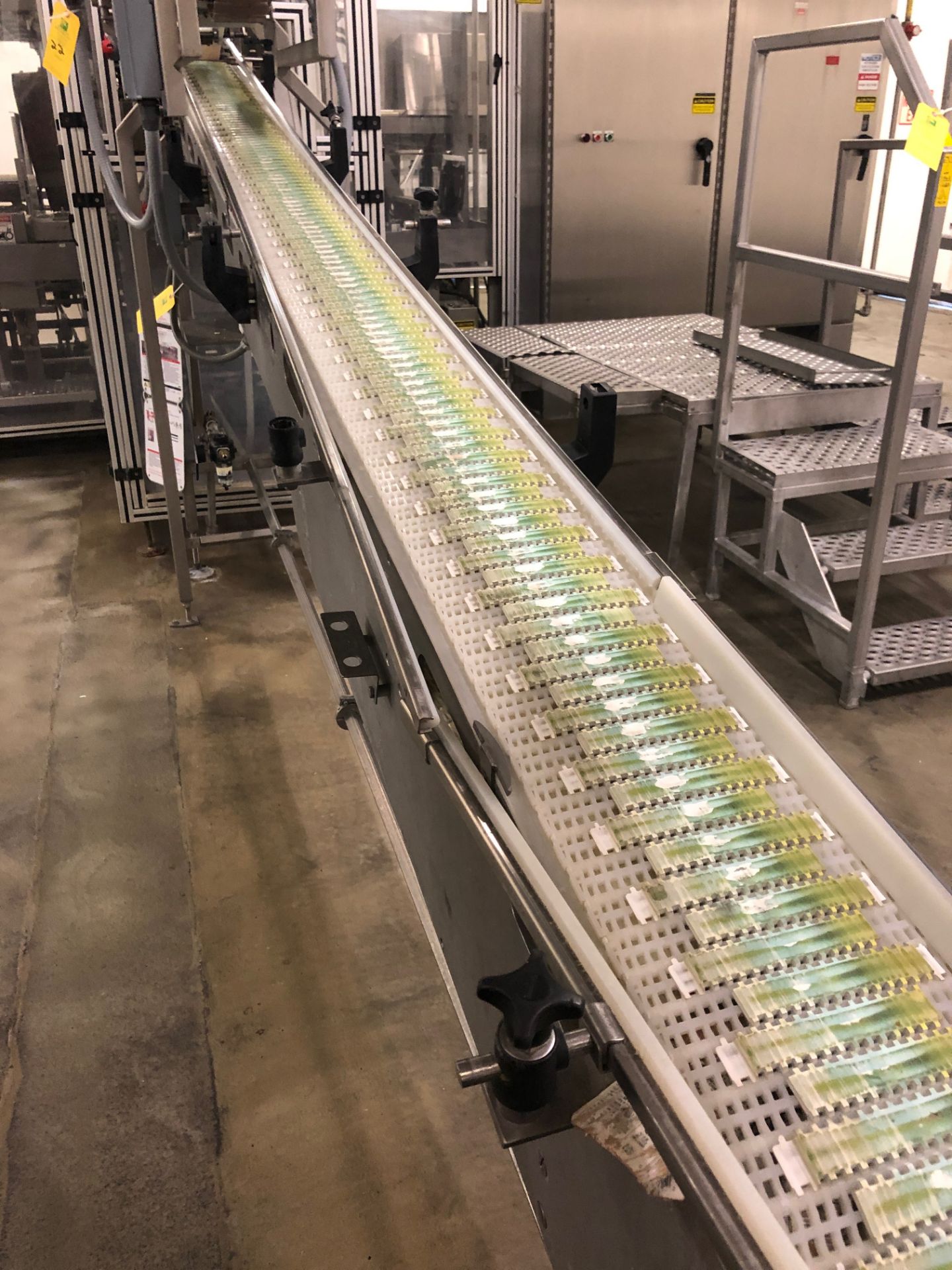 Motorized Belt Conveyor, 10' Length