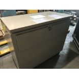 Storage Cabinet; Rigging Fee: $35