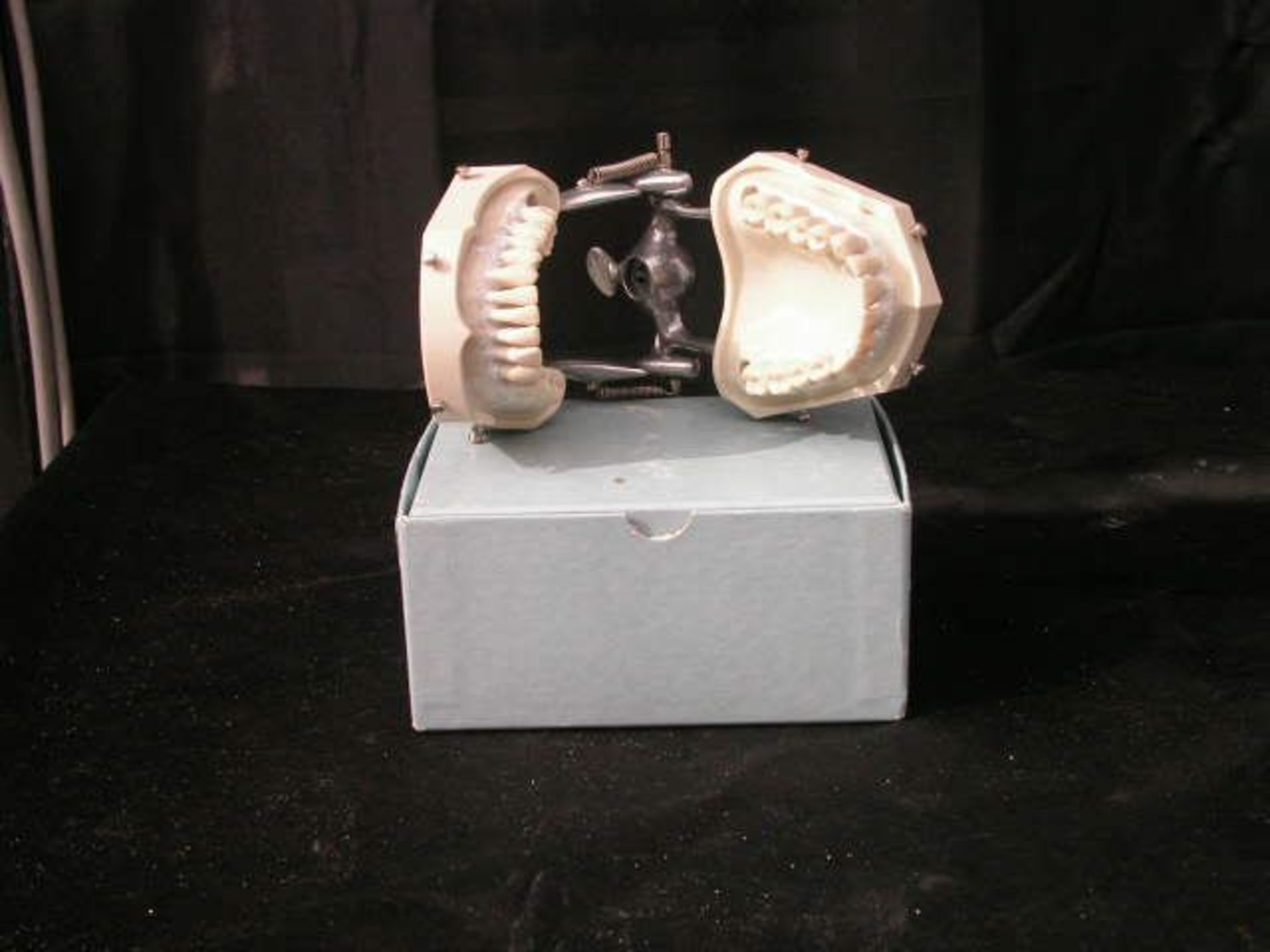 Columbia Dentiform Articulating Dental Model Removeable Teeth #2 4 Molars Gone, Qty 4, 330772226991 - Image 3 of 4
