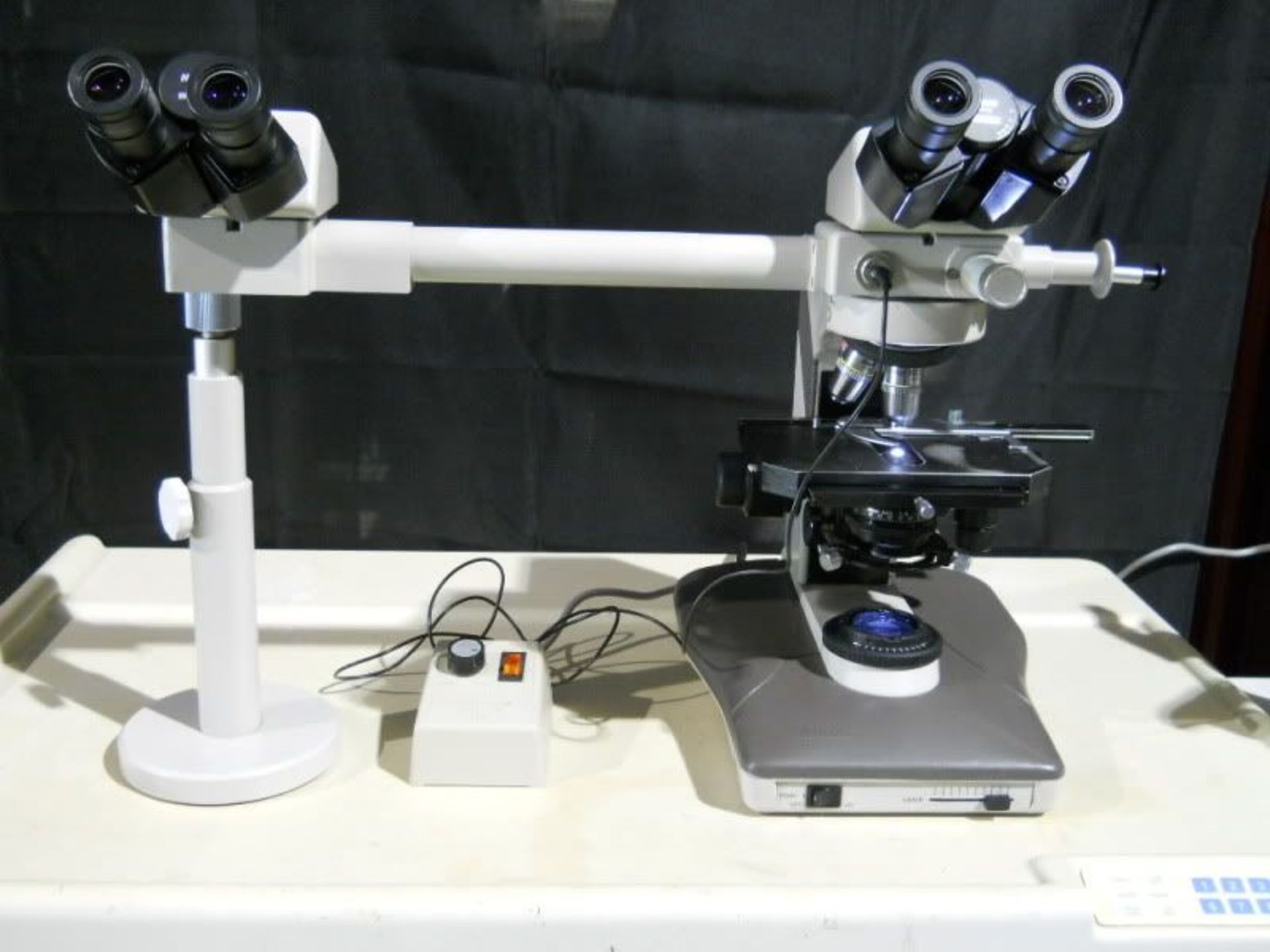 Nikon Labophot 2 Dual Viewing Teaching Microscope, Qty 1, 220748473340