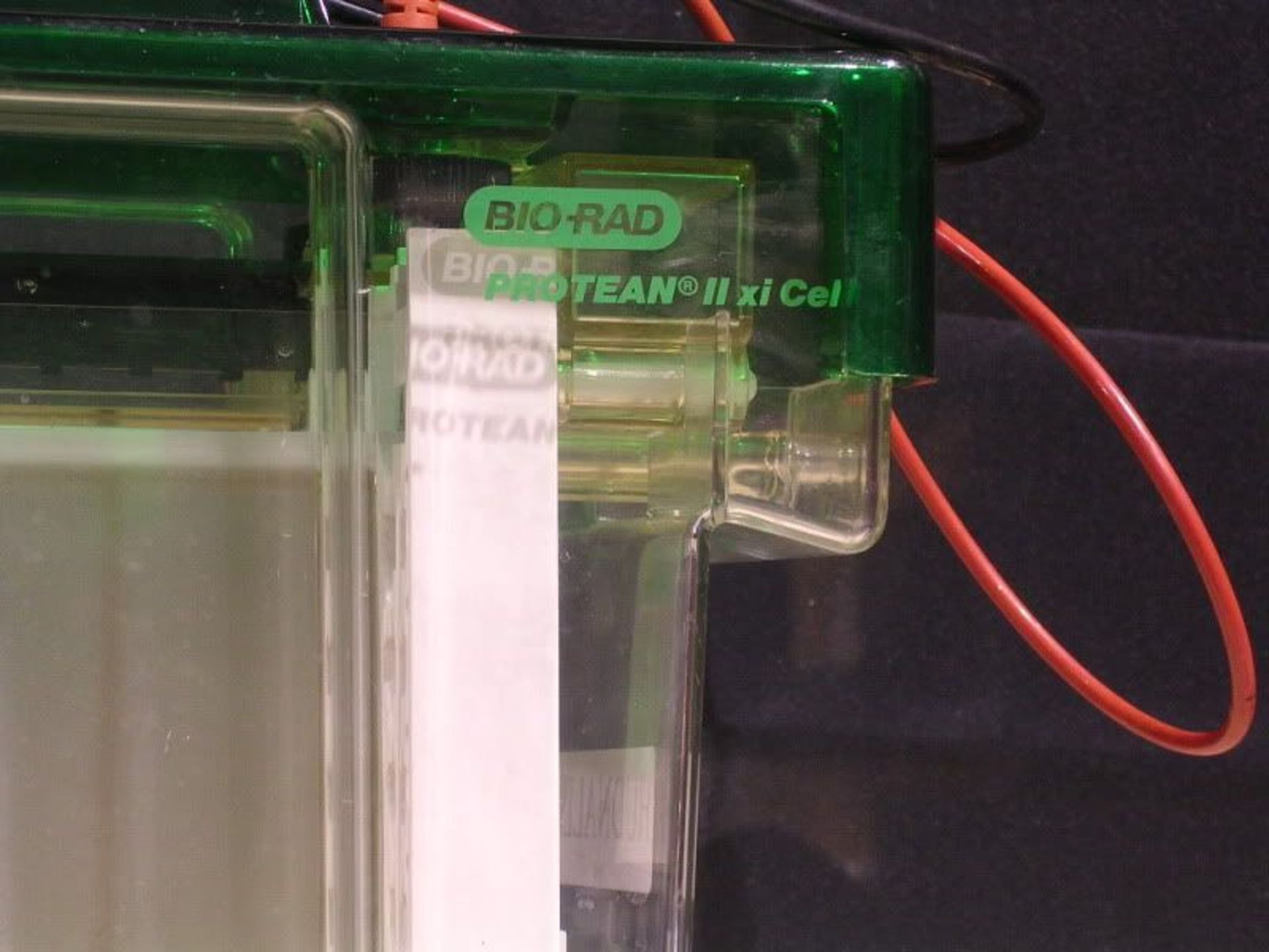 BIO RAD Protean II xi Cell, Electrophoresis Cell, Qty 1, 331948552928 - Image 2 of 5
