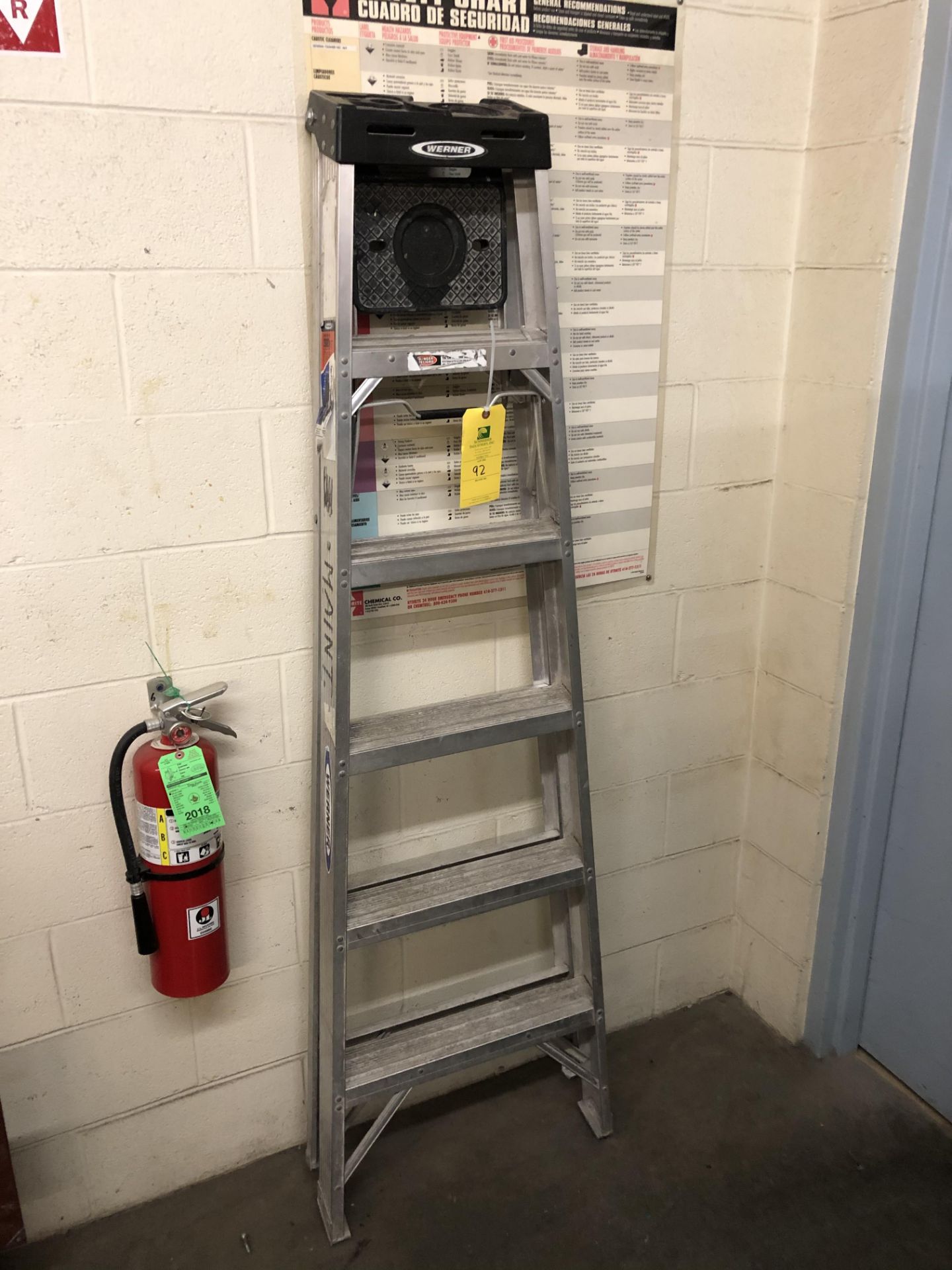 Werner 6' Ladder