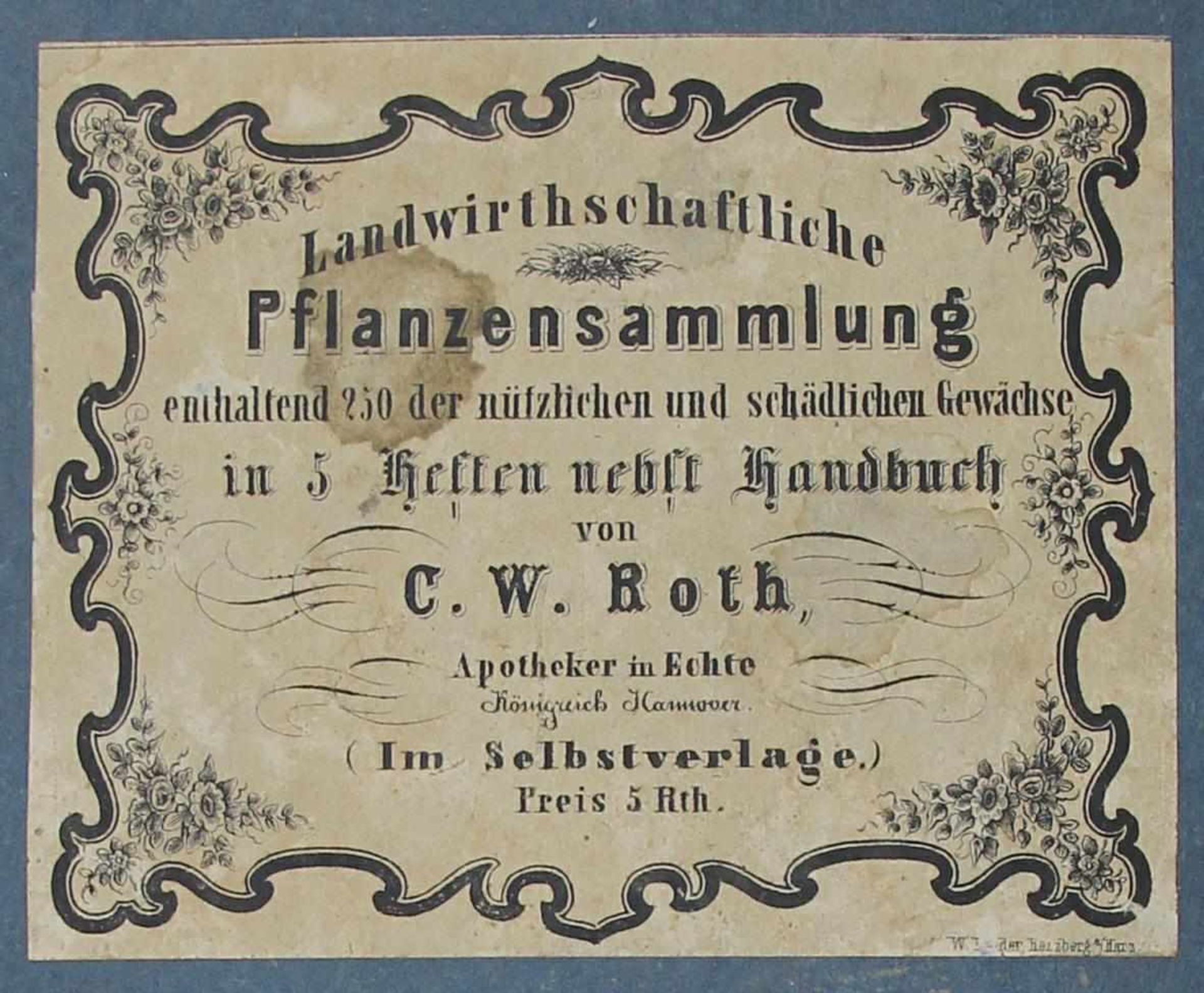 Botanik. - Herbarium. -Roth, Christian Wilhelm:Landwirthschaftliche Pflanzensammlung, enthaltend 400 - Bild 4 aus 7