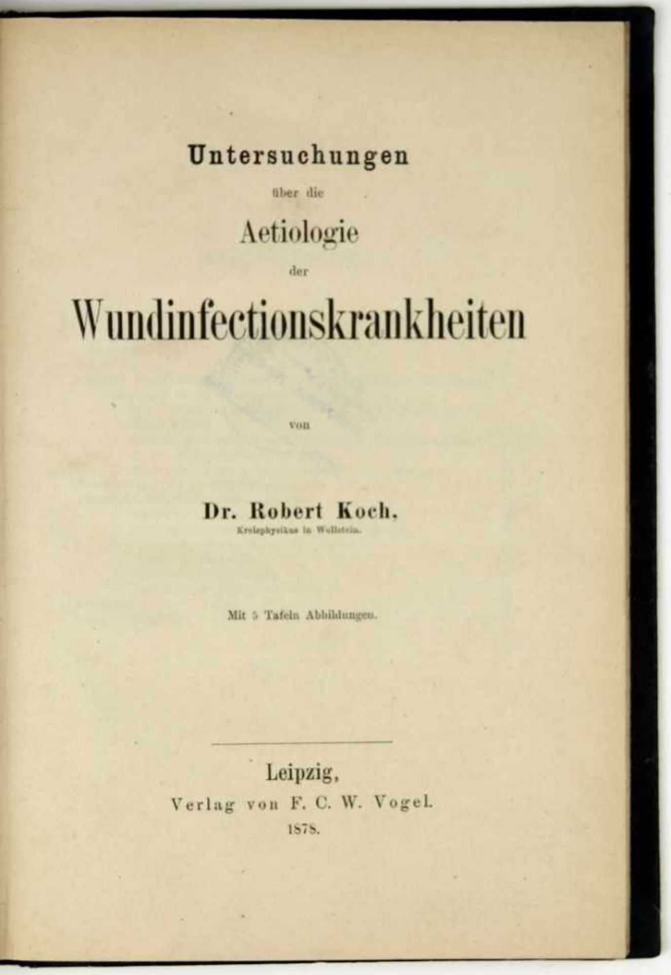 Koch, Robert:Untersuchungen über die Aetiologie der Wundinfectionskrankheiten. Leipzig, F. C. W.