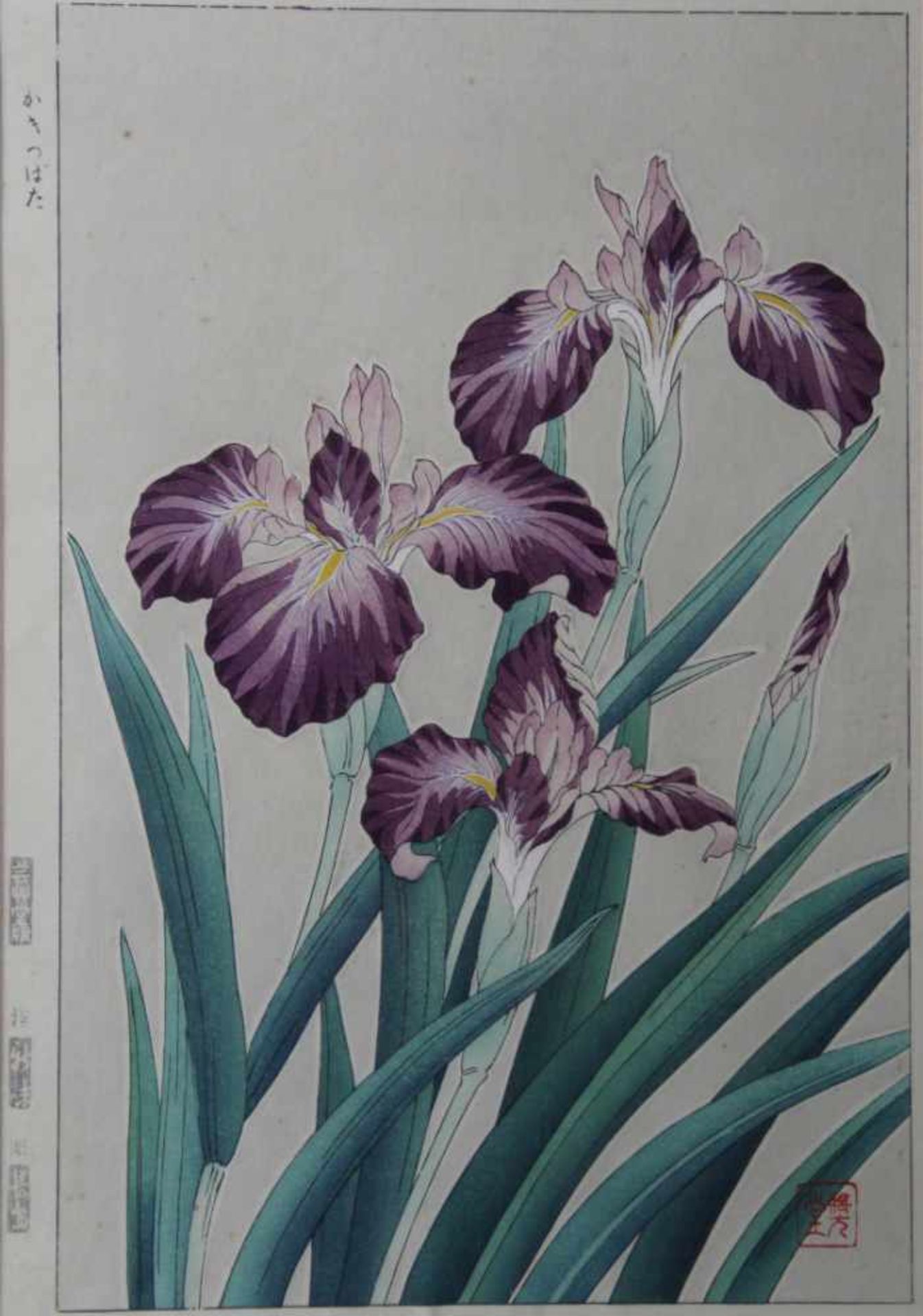 Pflanzen / Früchte. -Schwertlilien. Japanischer Farbholzschnitt, um 1900. 36 x 24 cm. Hinter Glas