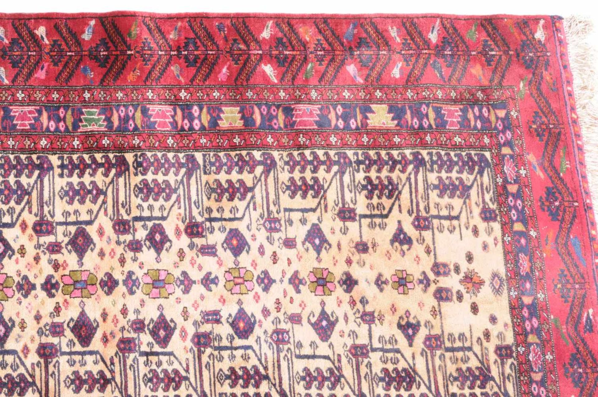 Beluch-SeideO-Persien, um 1960. Die hellgelbe Gebetsnische (Mihrab) ist mit Blüten und Blattranken - Bild 4 aus 10