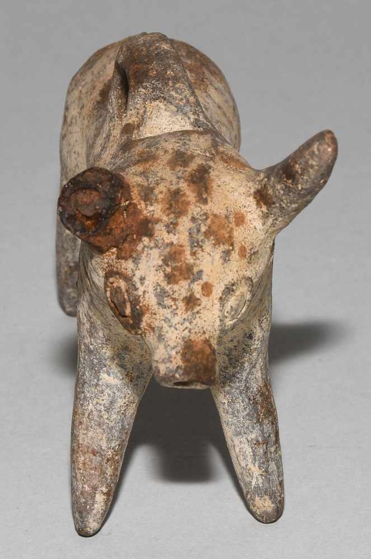 Stier-AskosZypern, späte Bronzezeit, ca. 1400–1200 v.C. Ton mit dunkler Bemalung. Stier der "Base - Bild 4 aus 10