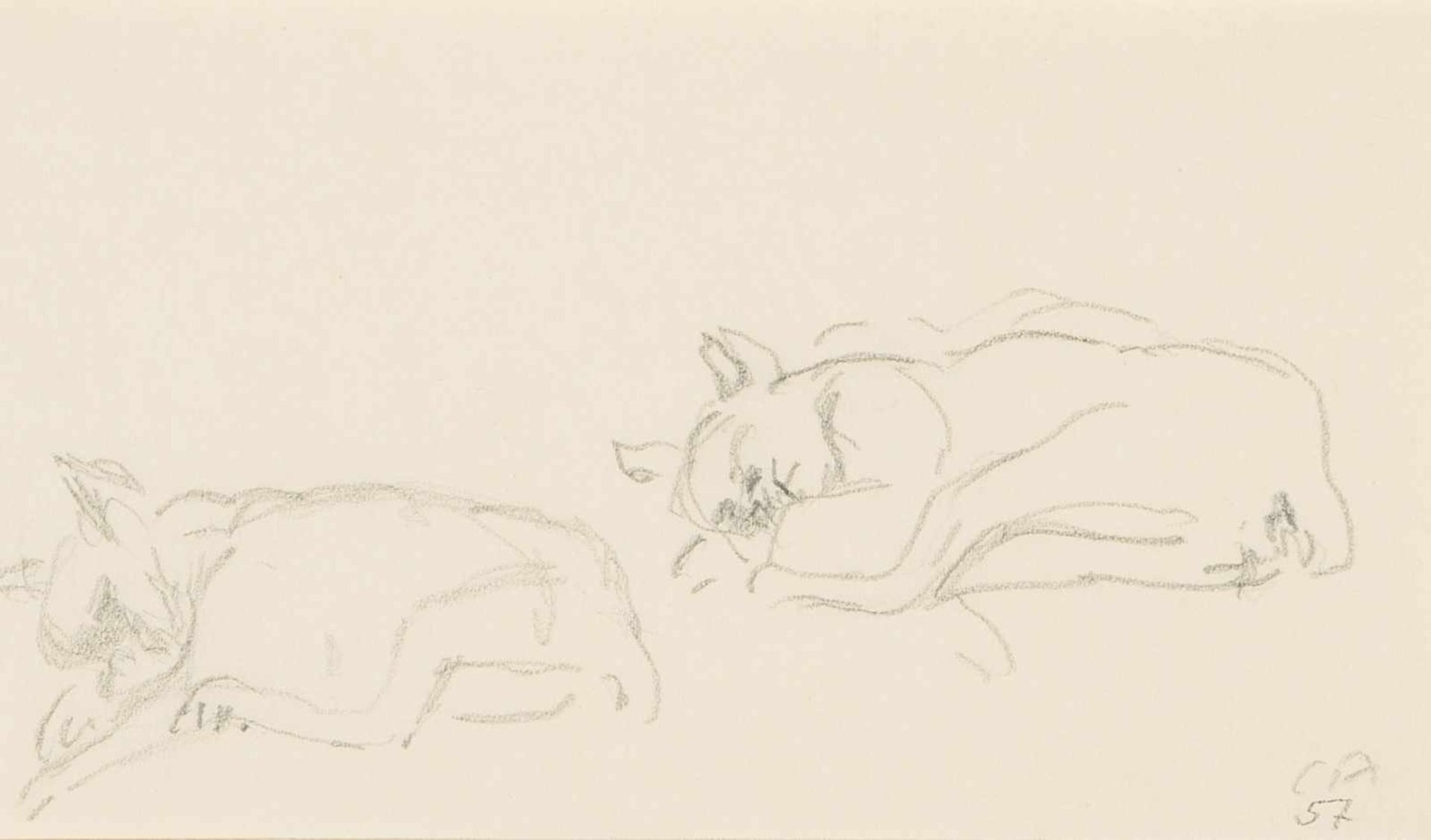 Amiet, Cuno(Solothurn 1868–1961 Oschwand)Zwei Katzen. 1957. Bleistift auf Papier. Unten rechts