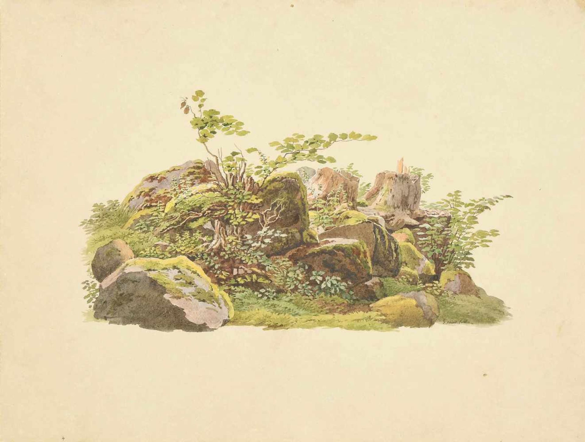 Freuler, Bernhard(1796 Schaffhausen 1858) Studienbuch. 60 n. n. Bll. Qu'4°. Grüner Maroquinbd. d. Z. - Bild 2 aus 5