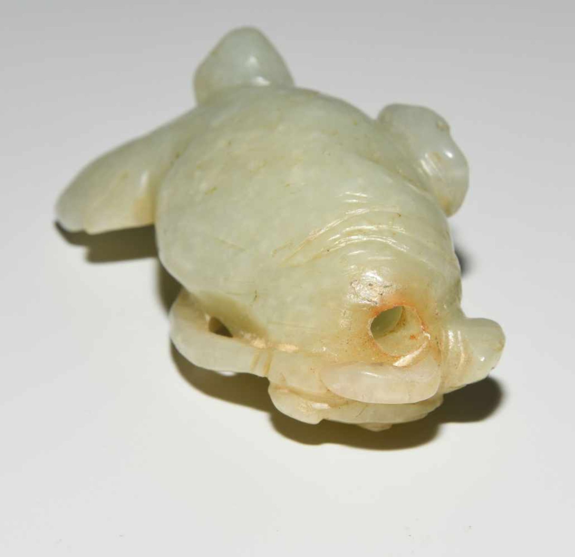Snuff BottleChina, 20.Jh. Celadongrüne Jade. In Form eines Goldfischs. Stöpsel aus Koralle, geklebt. - Bild 8 aus 9
