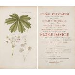 Flora DanicaIcones plantarum sponte nascentium in regnis Daniae et Norvegiae, in ducatibus
