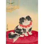 Ohara Koson/Shoson (1877–1945)Japan. Farbholzschnitt. Pekinese und singender Vogel in Vogelkäfig.