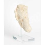 ZiegenkopfRömisch, 1.–2.Jh. n.C. Grobkörniger Marmor. Fragment des vorderen Teil eines
