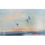 A signed Coloured Print by Peter Scott of ducks in flight. L43cm X W60cm.