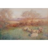 A really well painted late 19th early 20th Century Watercolour of Sheep. Monogrammed LL. L34cm X