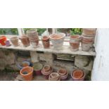 A large quantity of Terracotta Pots.